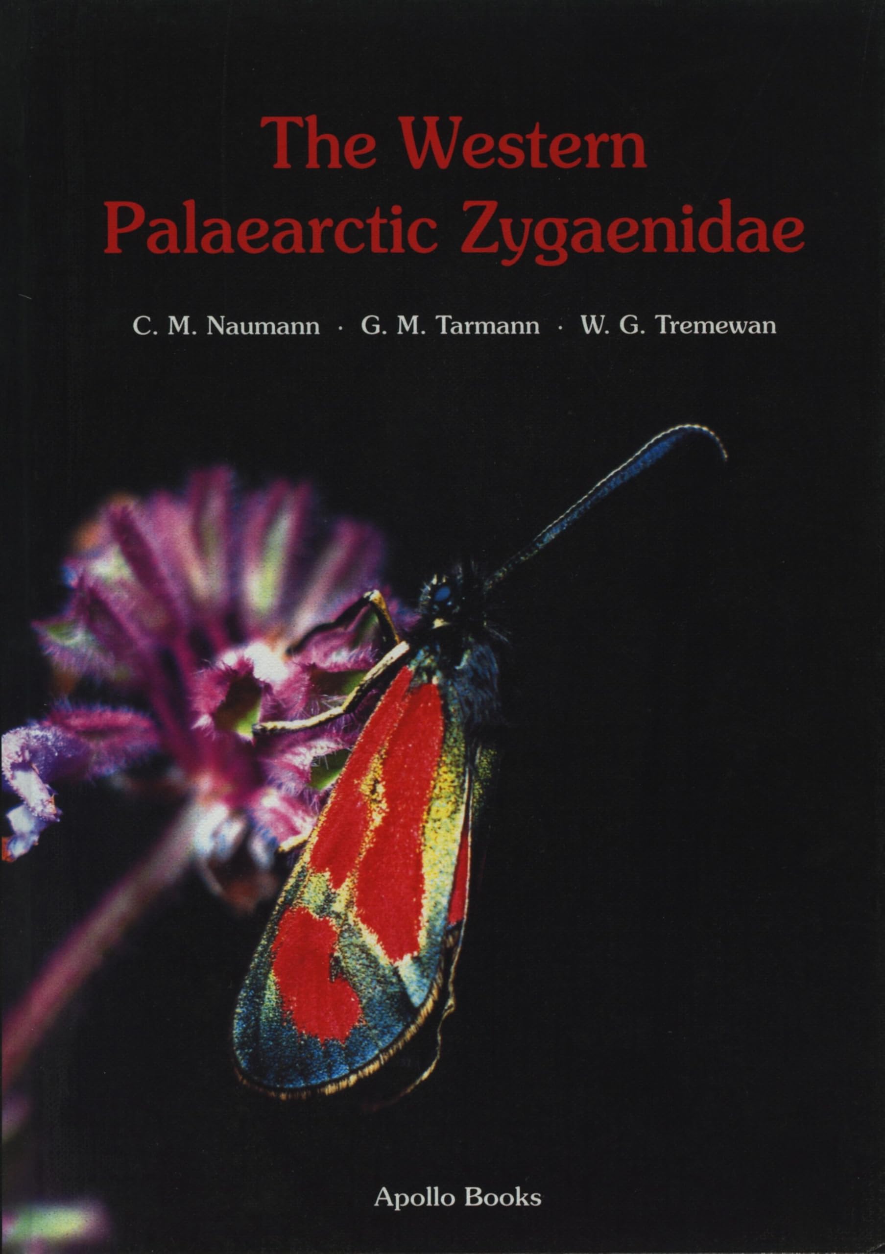 Western Palaearctic Zygaenidae Business & Technology