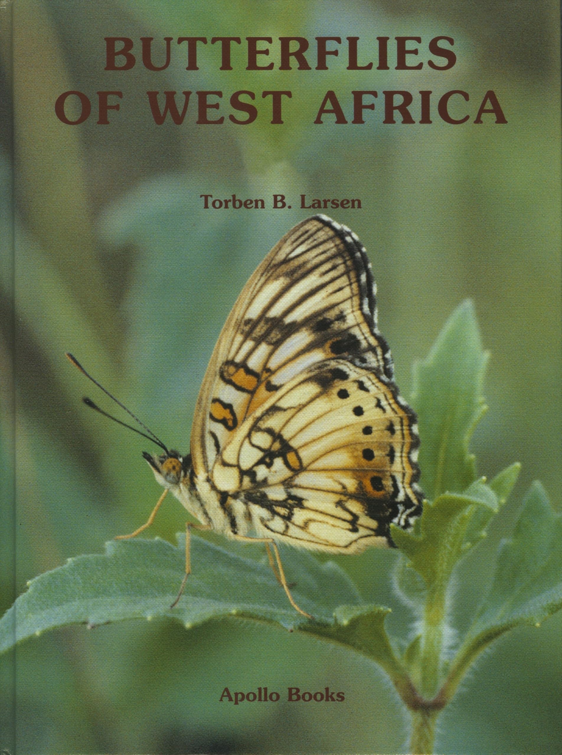 Butterflies Of West Africa book