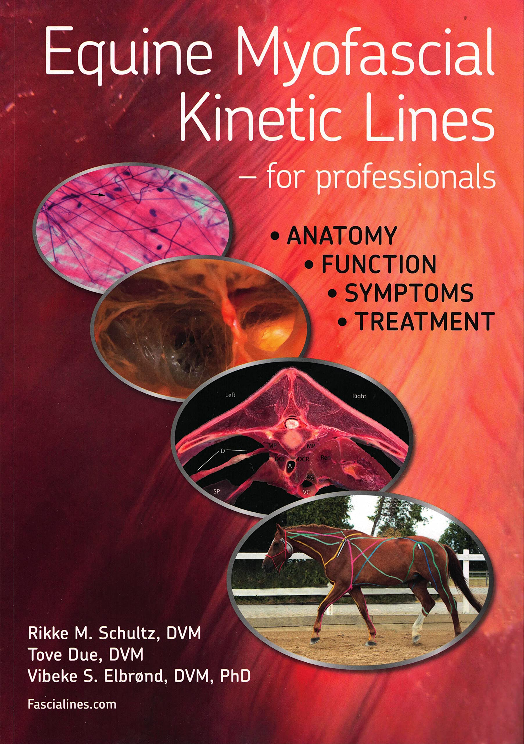 Myofasziale kinetische Linien des Pferdes Books