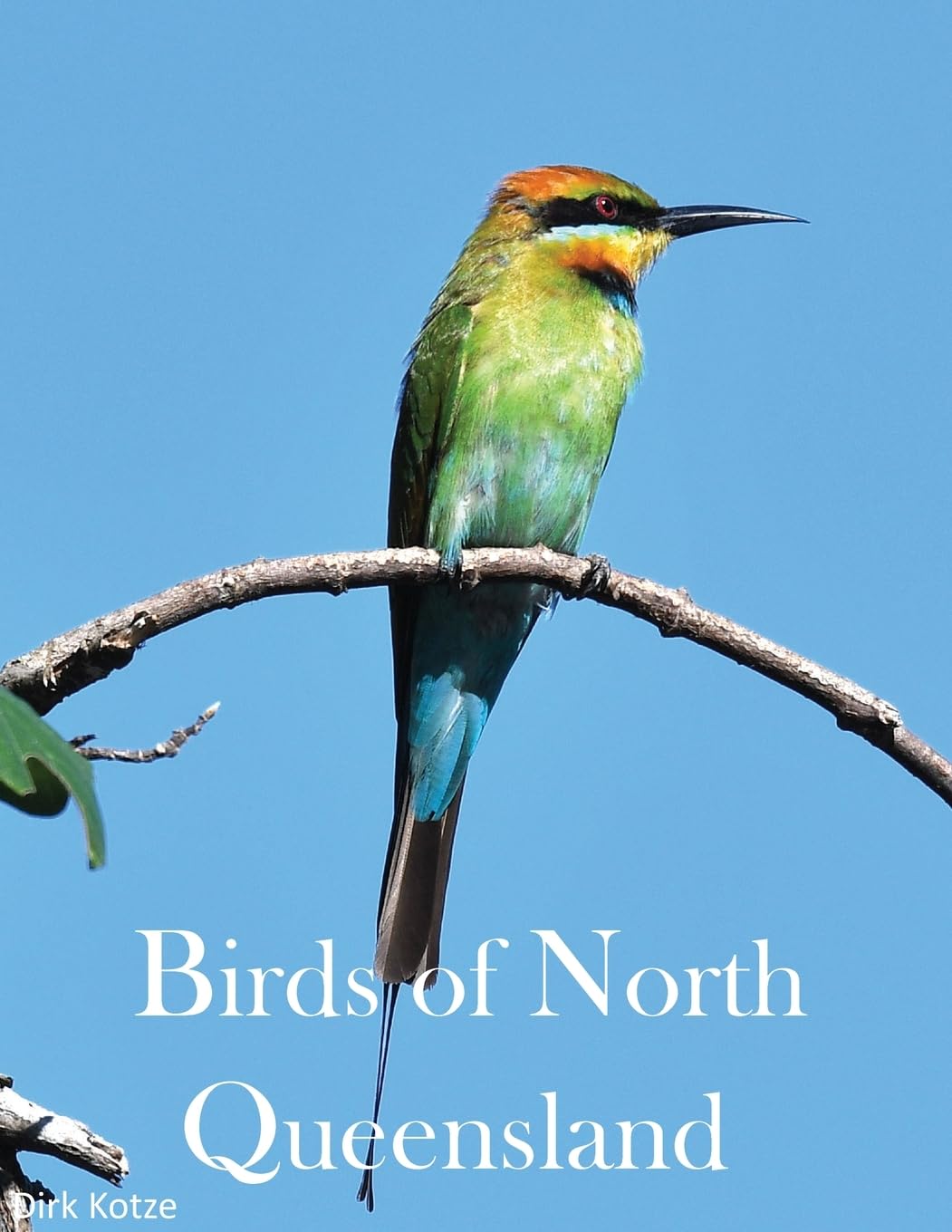 Birds of North Queensland Mathematics