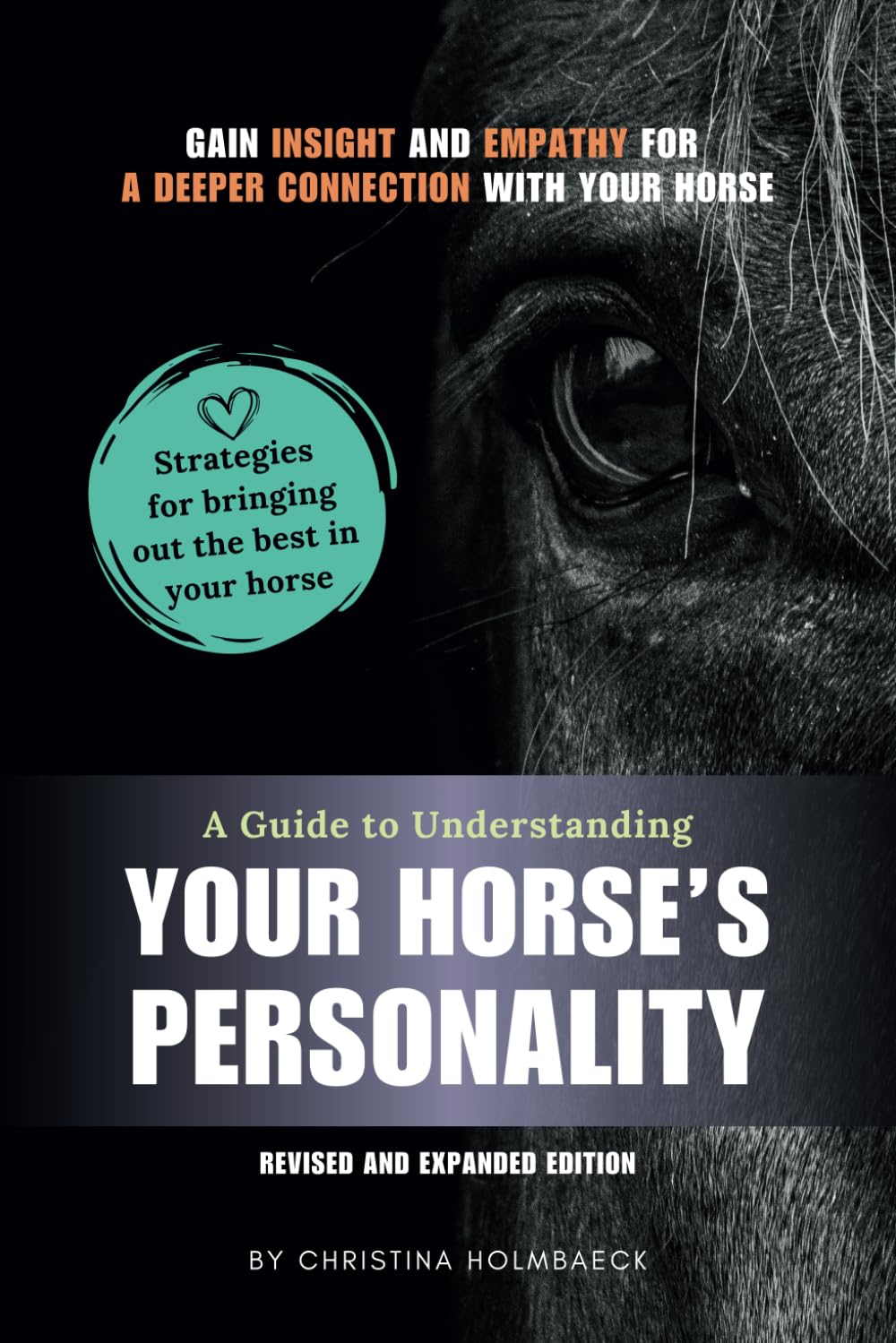 A Guide to Understanding Your Horse's Personality Pets