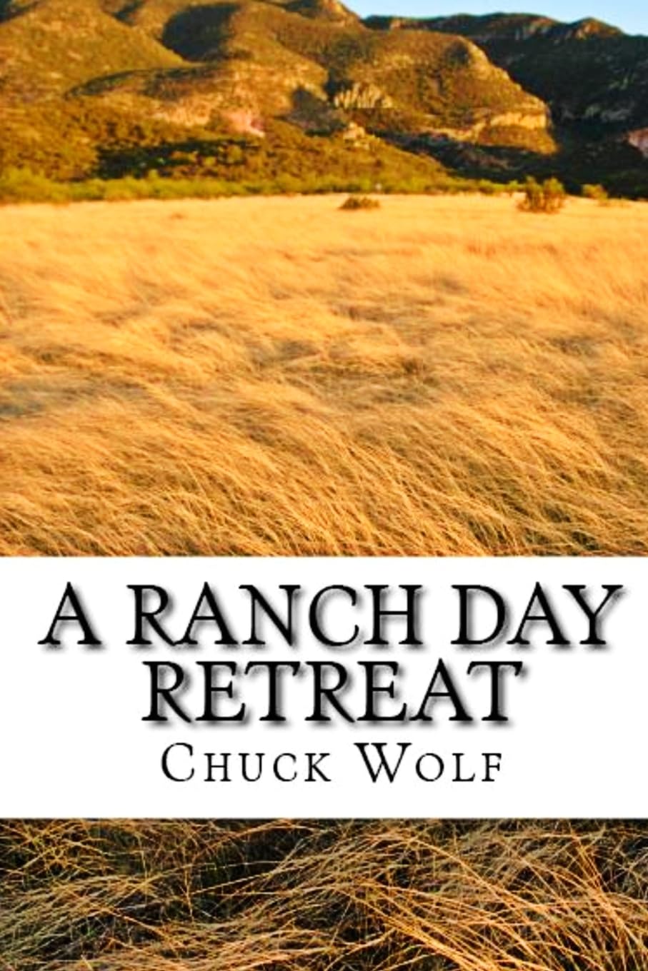 A Ranch Day Retreat. Personal and Leadership Development Guided by the Model of Horses in Nature Business, Finance & Career