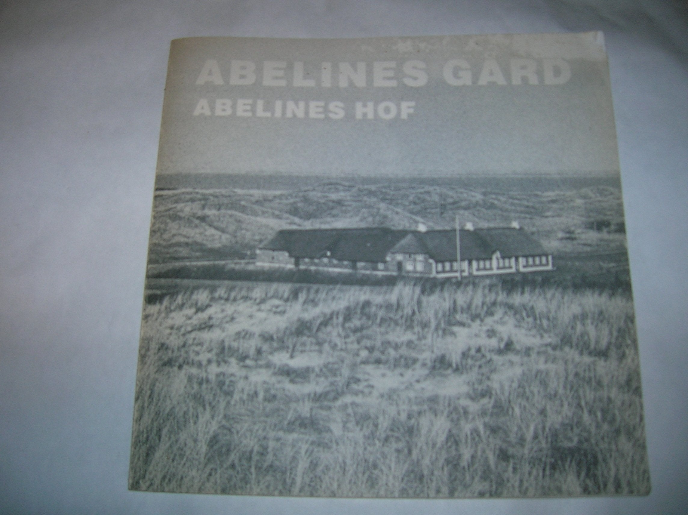 Abelines Hof - Abelines Gaard. Ein Strandvogthof auf Holmsland Klit. Books