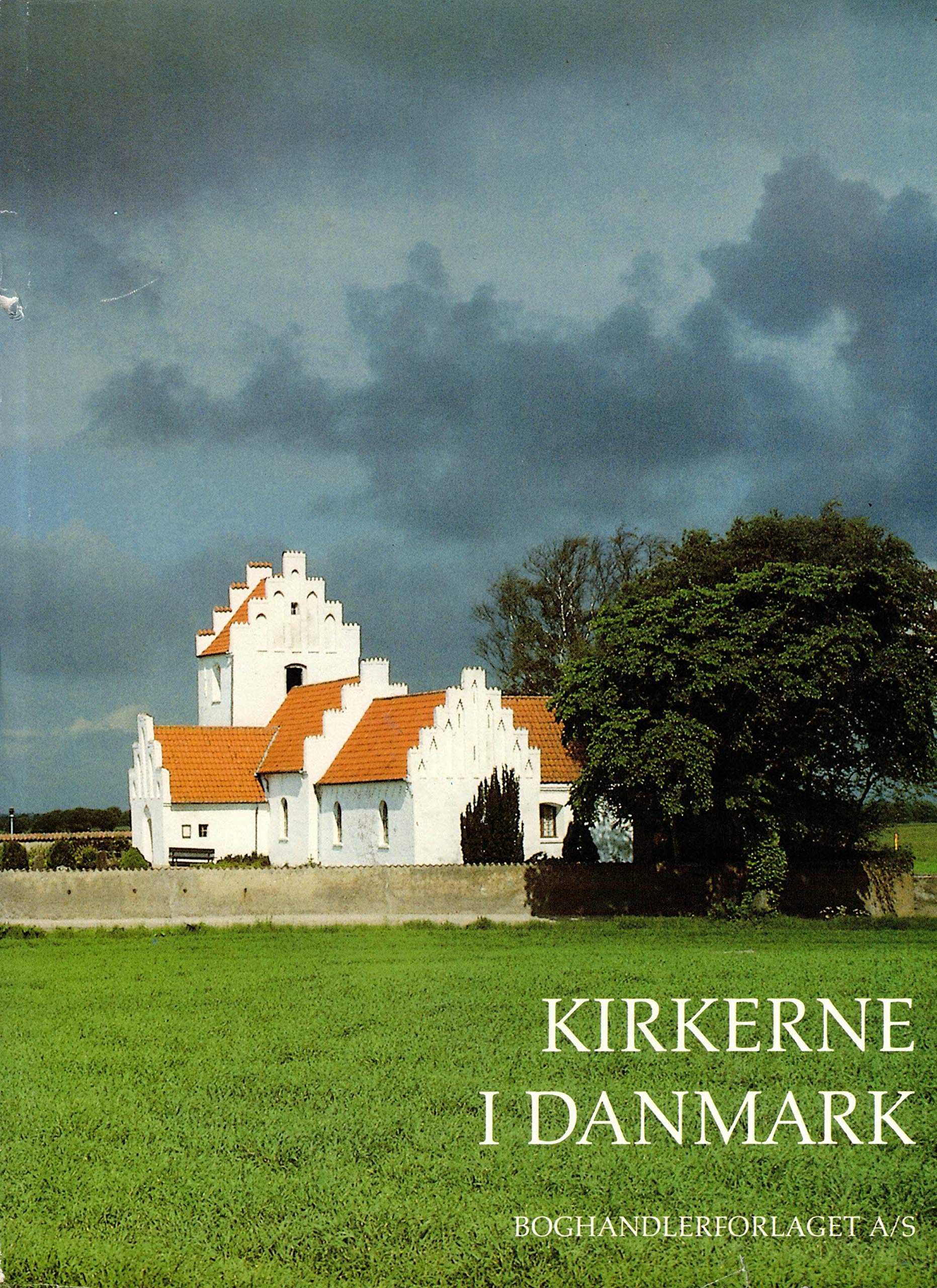 Kirkerne i Danmark: Den katolske tid Books