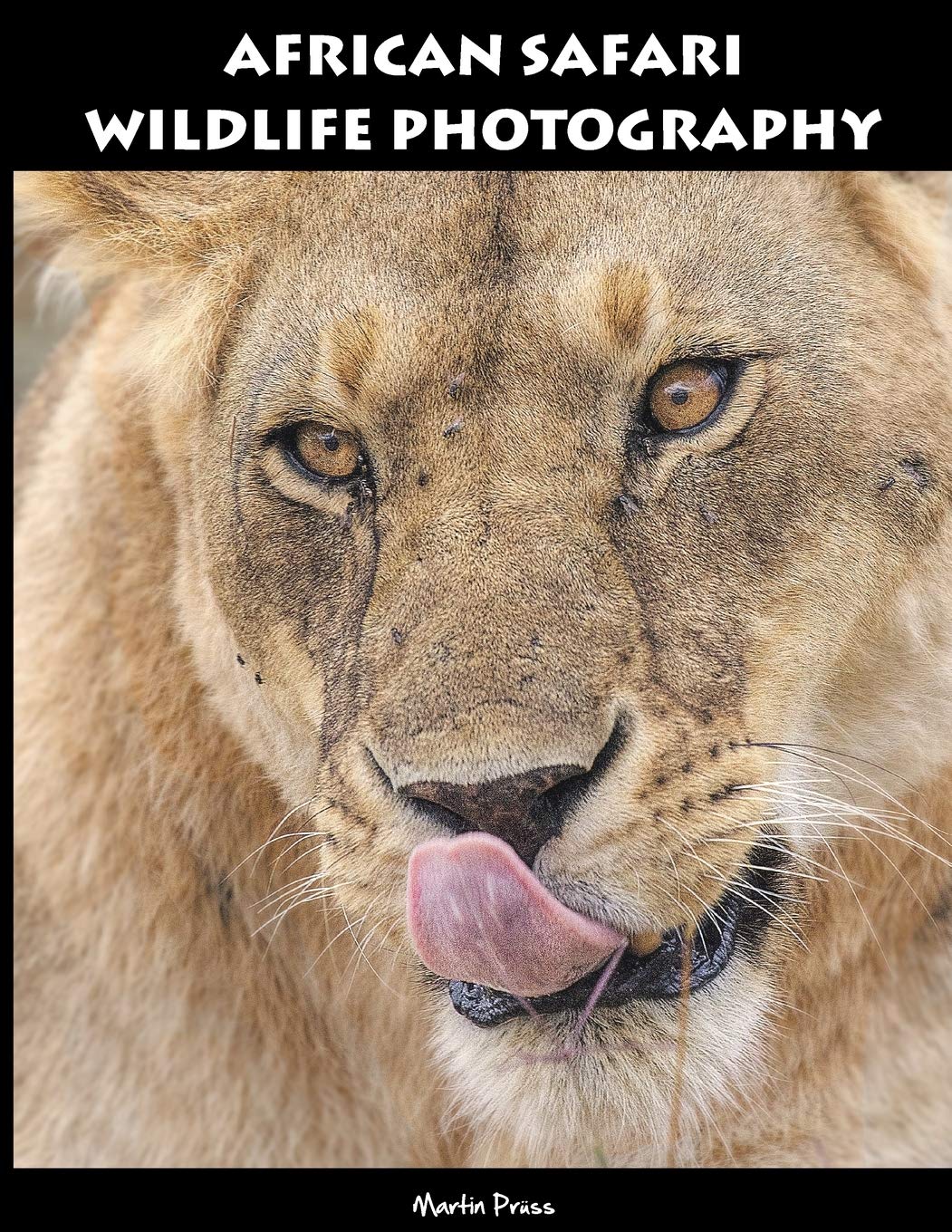 African Safari Wildlife Photography Photography