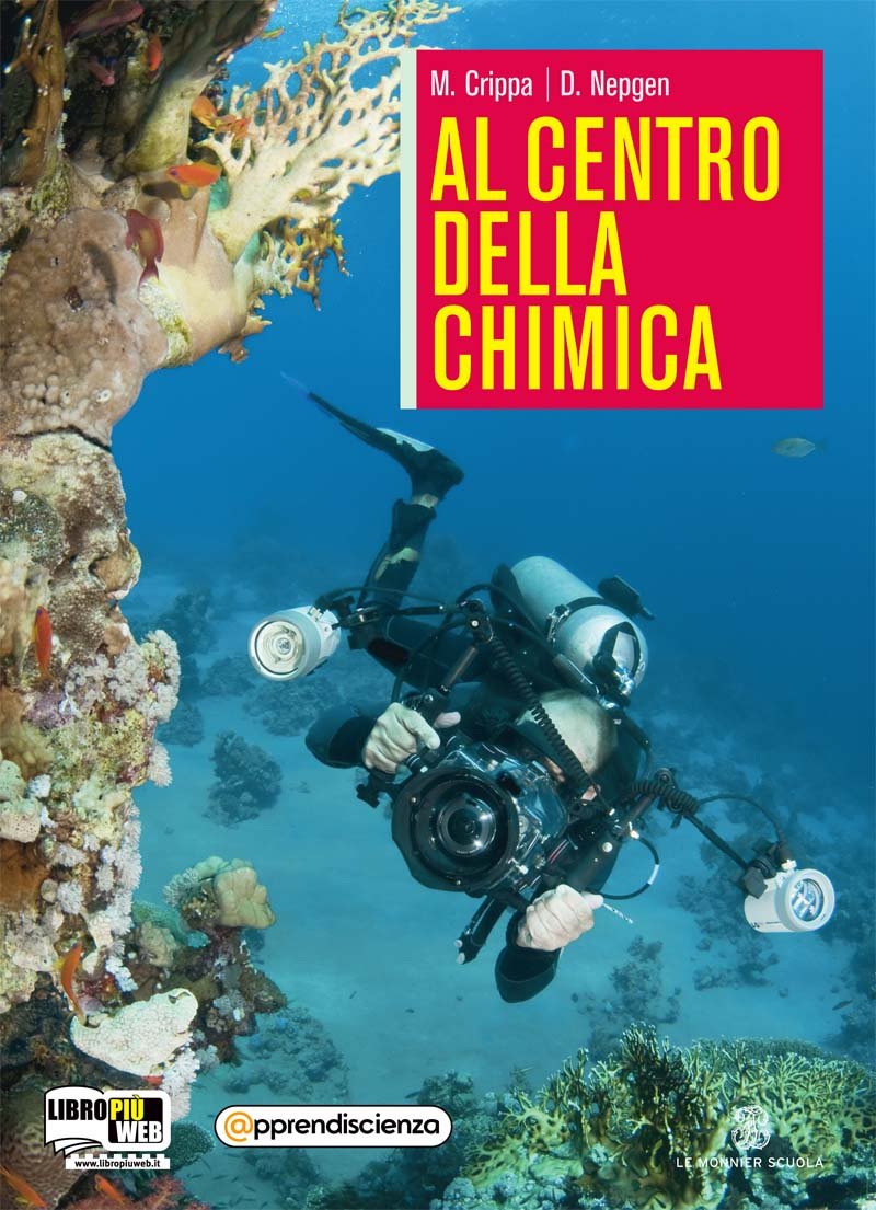 Al centro della chimica. Volume unico. Per le Scuole superiori. Con espansione online Professional & Reference Books
