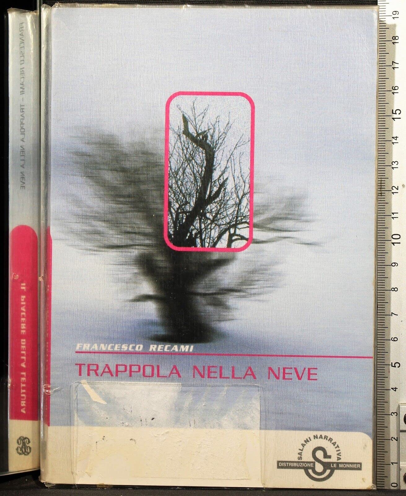 Trappola nella neve (Salani narrativa) Contemporary literature