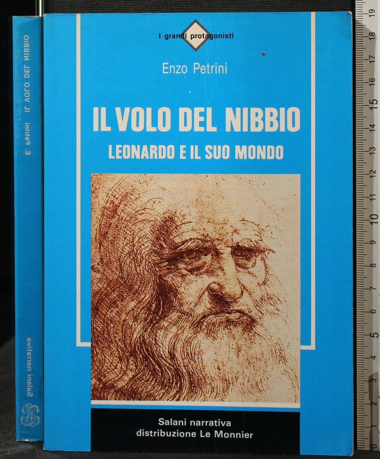 Il volo del nibbio. Leonardo e il suo mondo (Salani narrativa) Professional & Reference Books