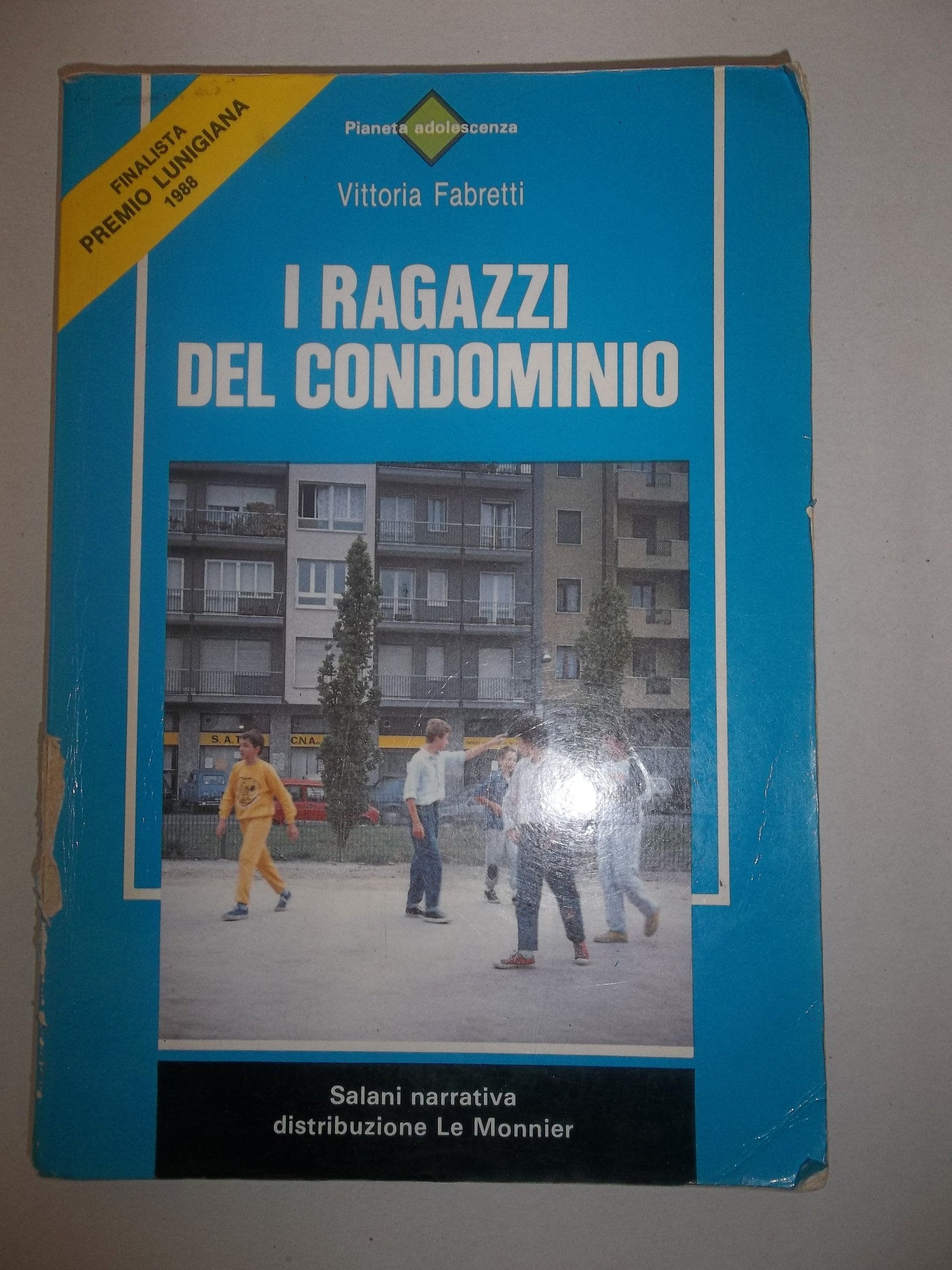 I ragazzi del condominio book