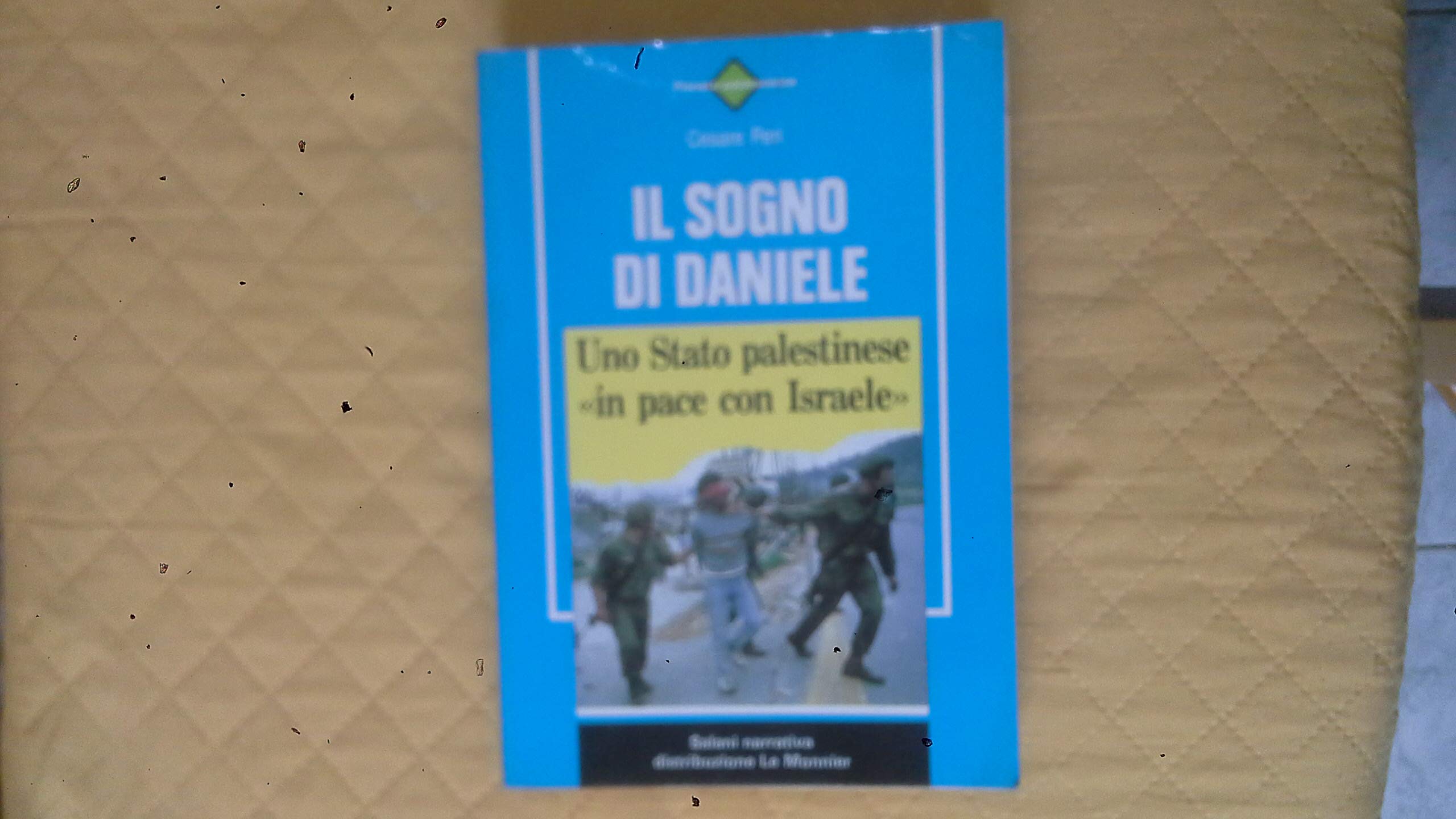 Il sogno di Daniele (Salani narrativa) Professional & Reference Books