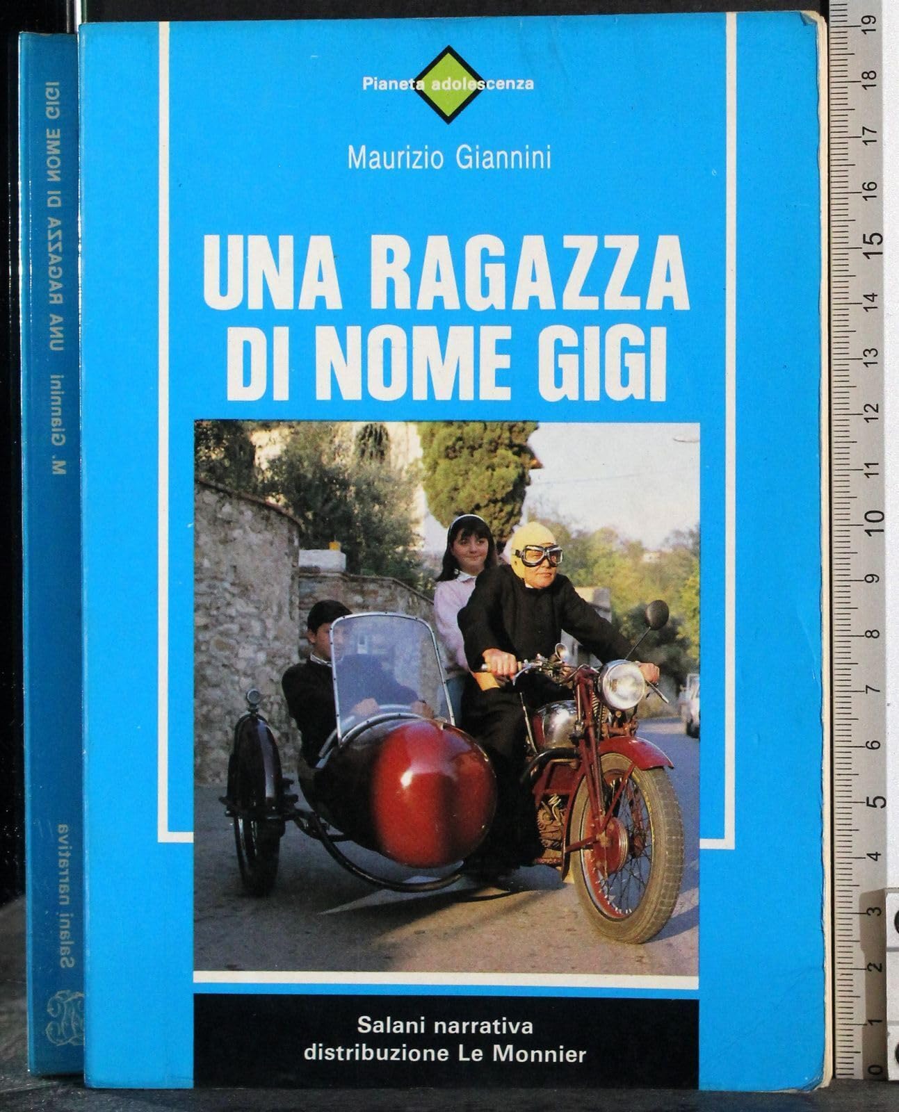 Una ragazza di nome Gigi (Salani narrativa) Professional & Reference Books
