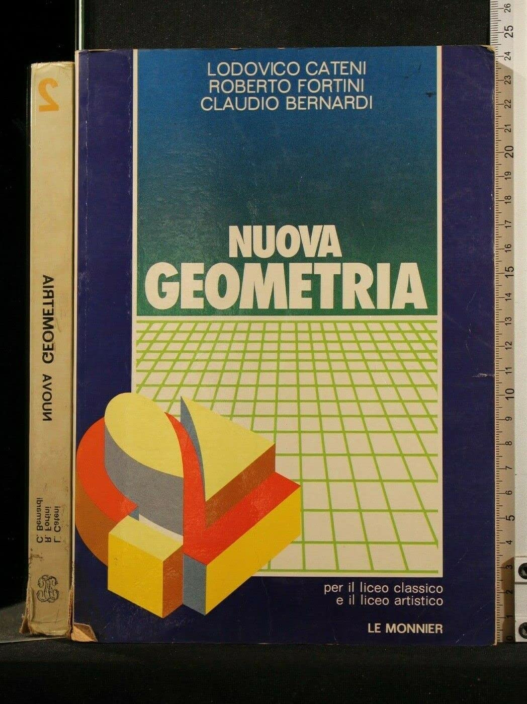 Nuova geometria. Per le Scuole superiori (Vol. 2) Professional & Reference Books
