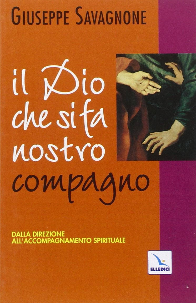 Il dio che si fa nostro compagno. Dalla direzione all'accompagnamento spirituale book