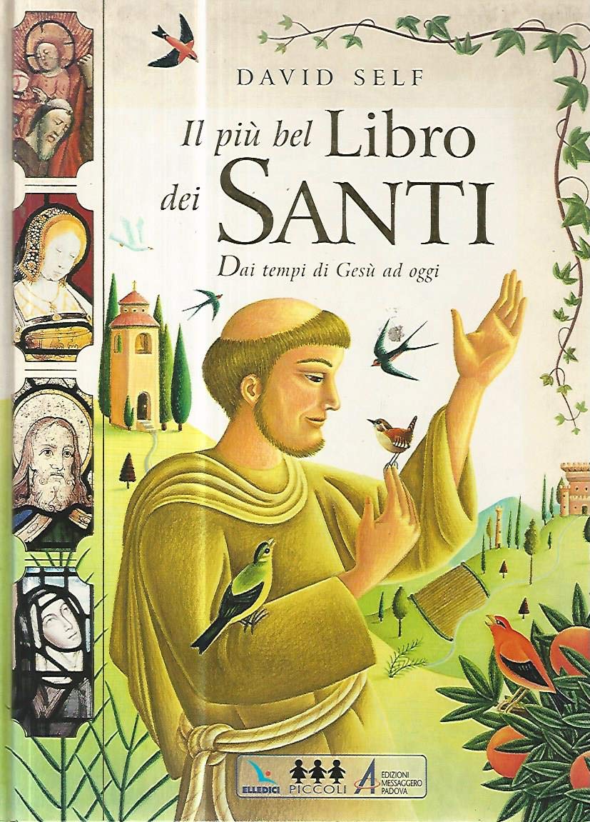 Il più bel libro dei santi. Dai tempi di Gesù ad oggi Politics & Society