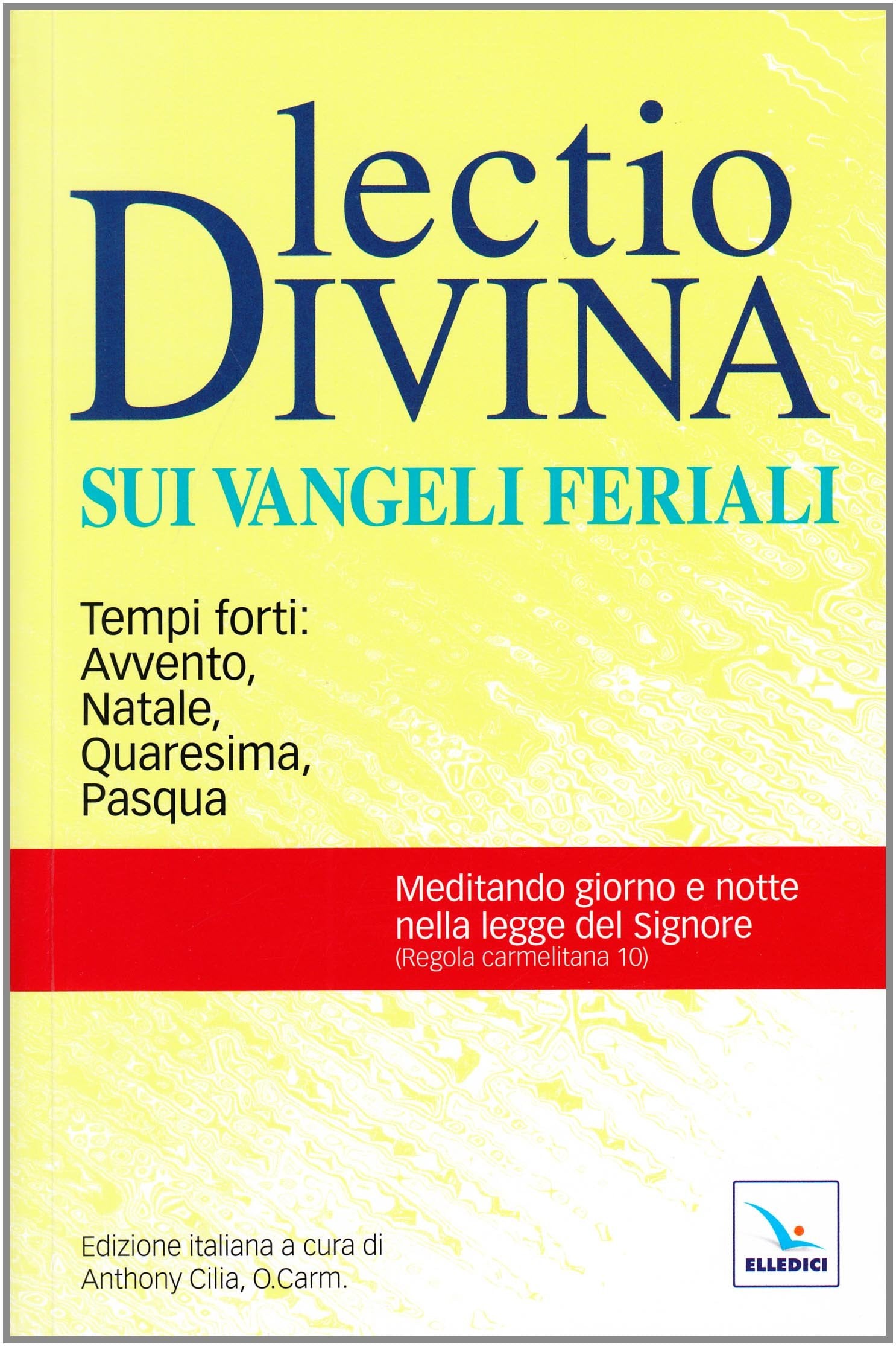 Lectio divina sui Vangeli feriali. Tempi forti: Avvento, Natale, Quaresima, Pasqua book