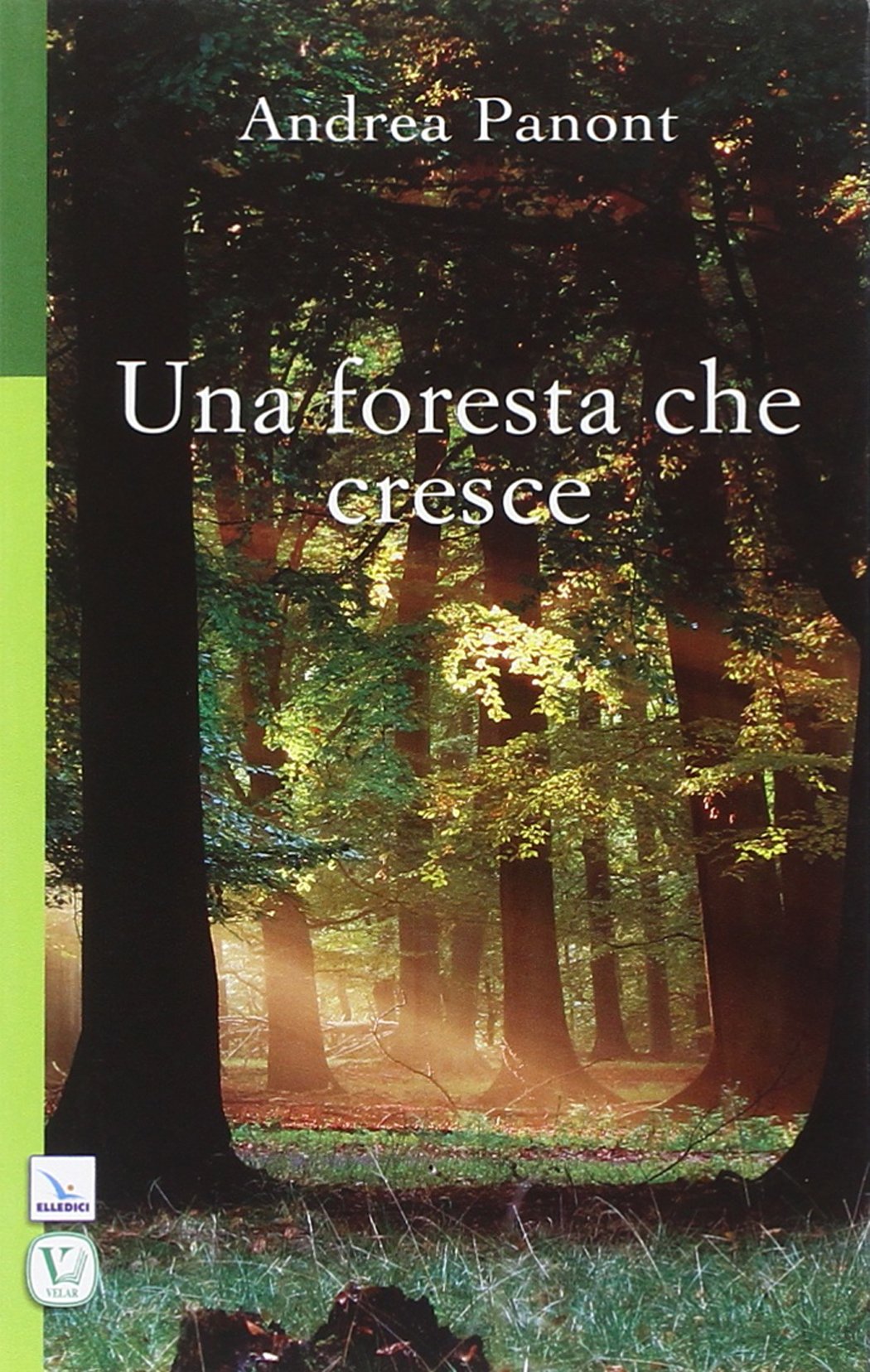 Una foresta che cresce (Pensieri per la riflessione, Band 68) Religion & Esotericism