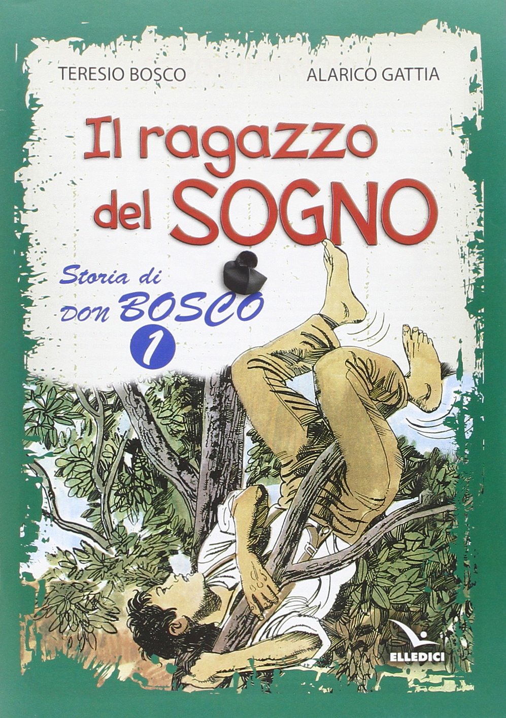 BOSCO TERESIO - STORIA DI DON book