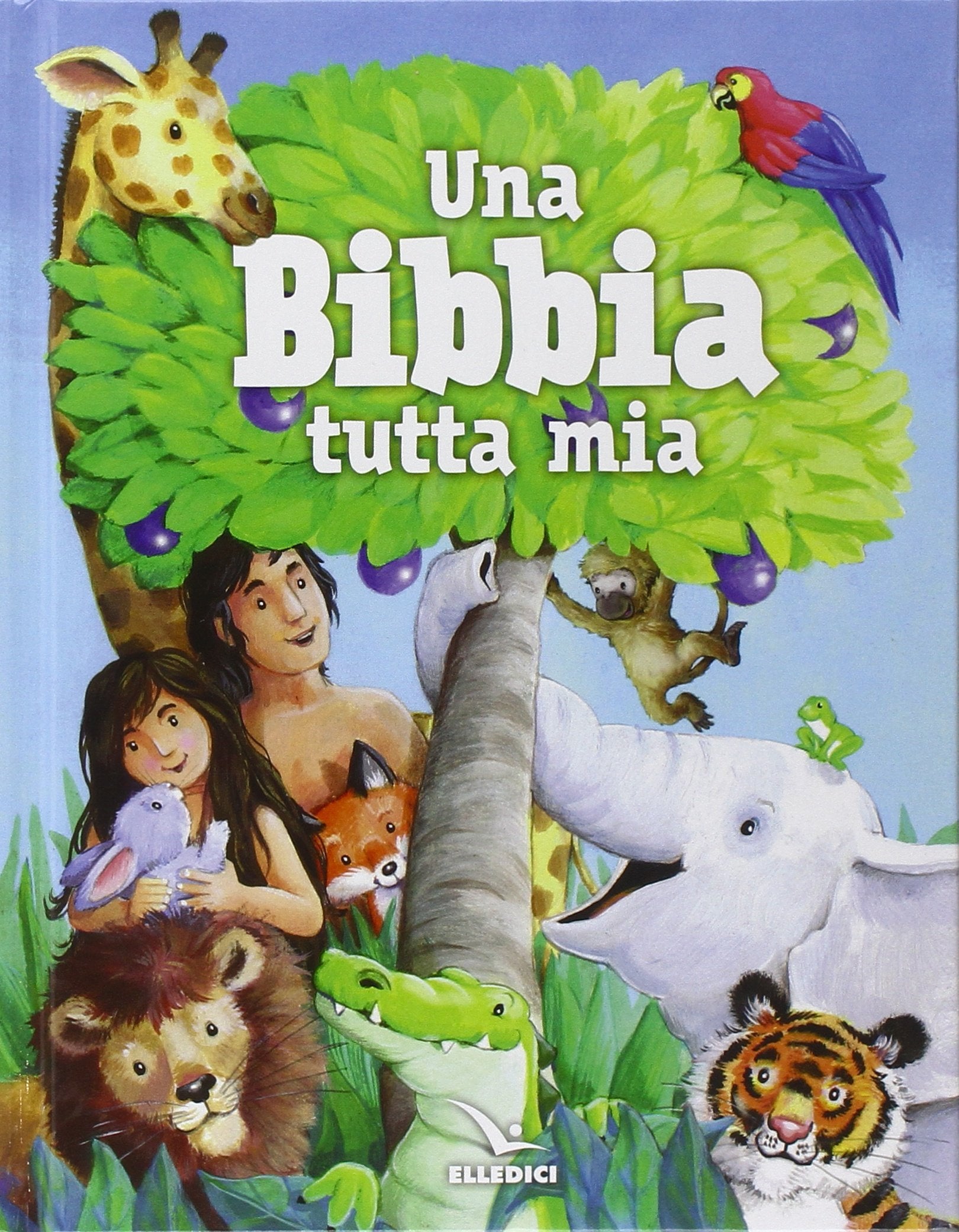 Una Bibbia tutta mia (Sussidi per la catechesi biblica fanciulli) Non-fiction