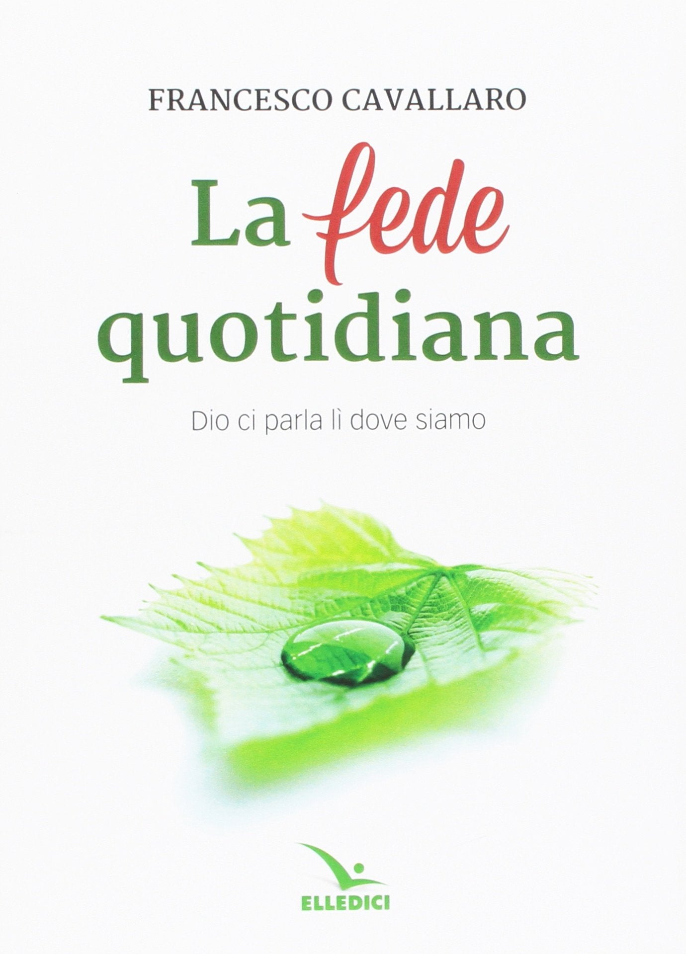 La fede quotidiana (Meditare) Religion & Esotericism