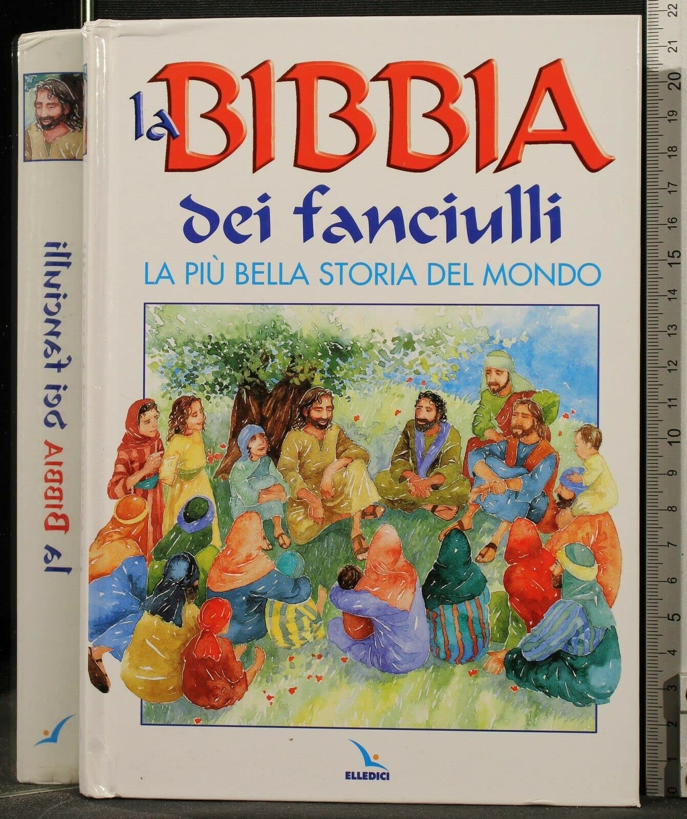 La Bibbia dei fanciulli. La più bella storia del mondo (Sussidi per la catechesi biblica fanciulli) Non-fiction
