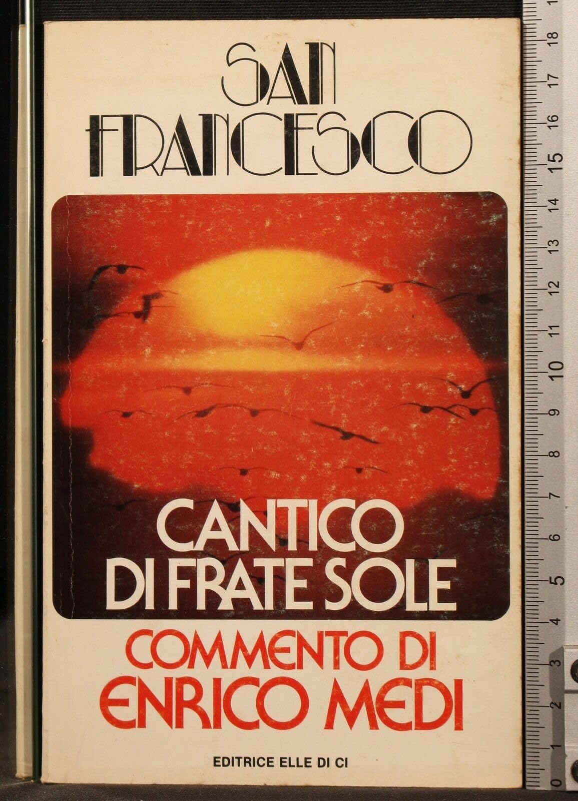 Cantico di frate sole book