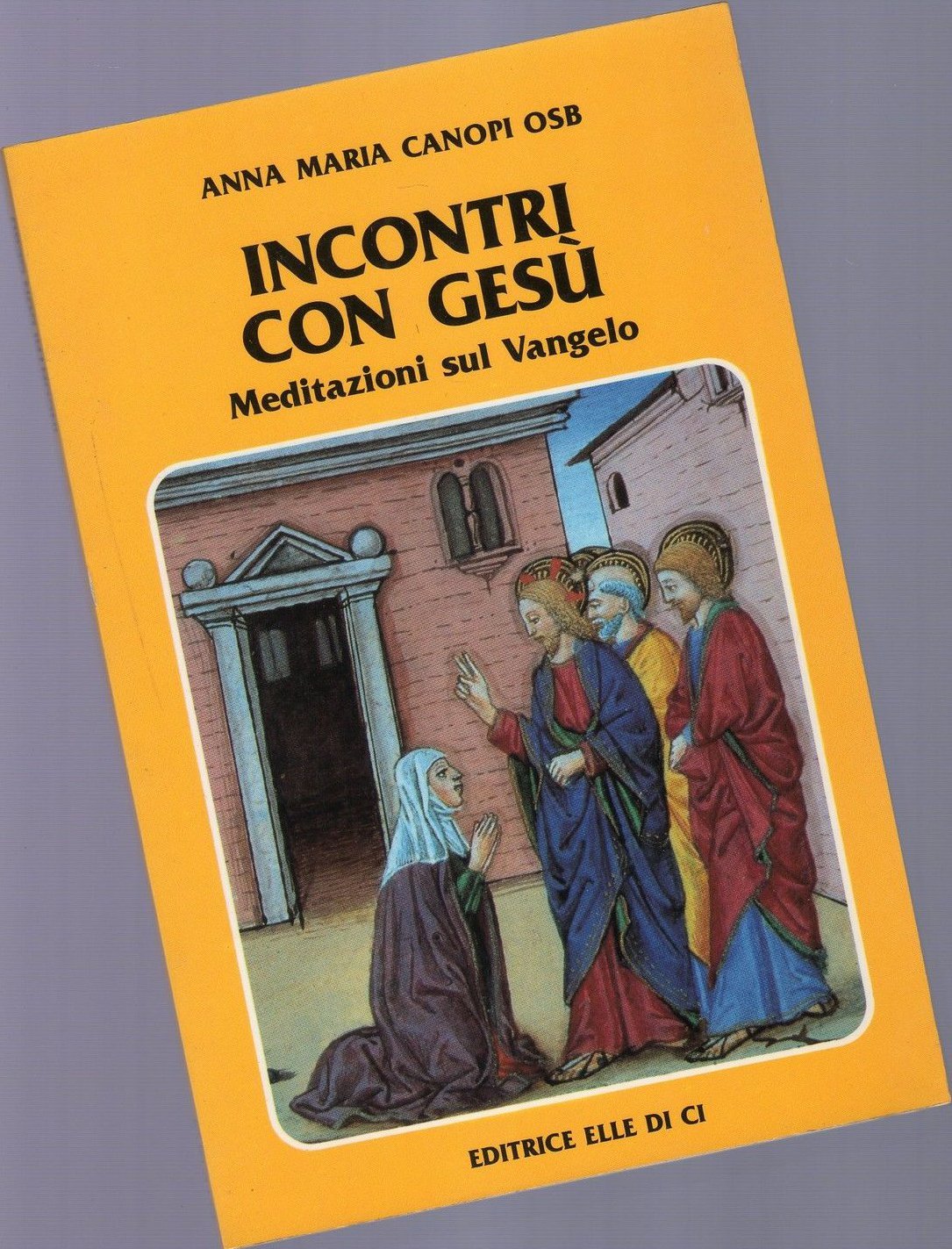 Incontri con Gesù. Meditazioni sul Vangelo book