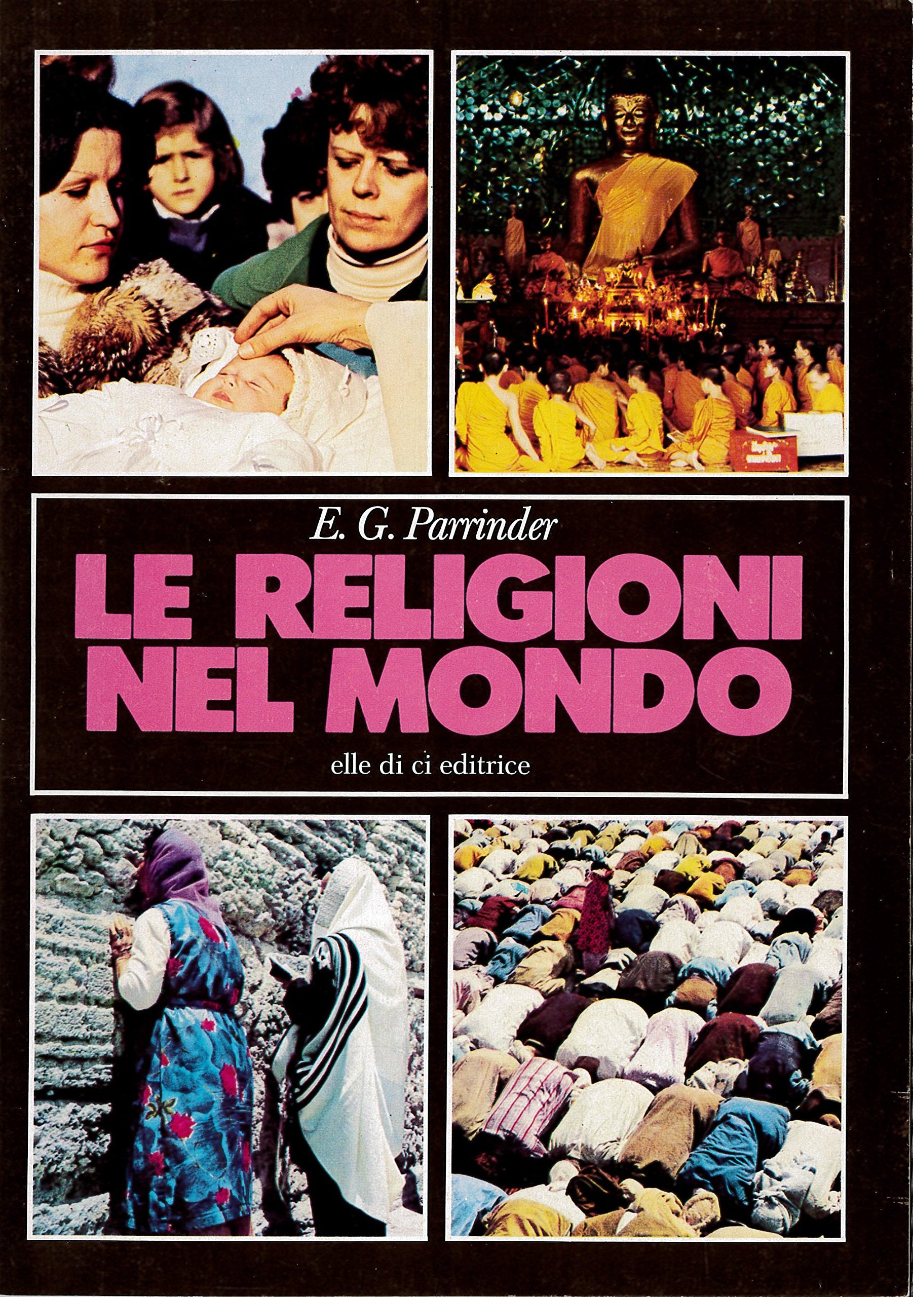 Le religioni nel mondo book