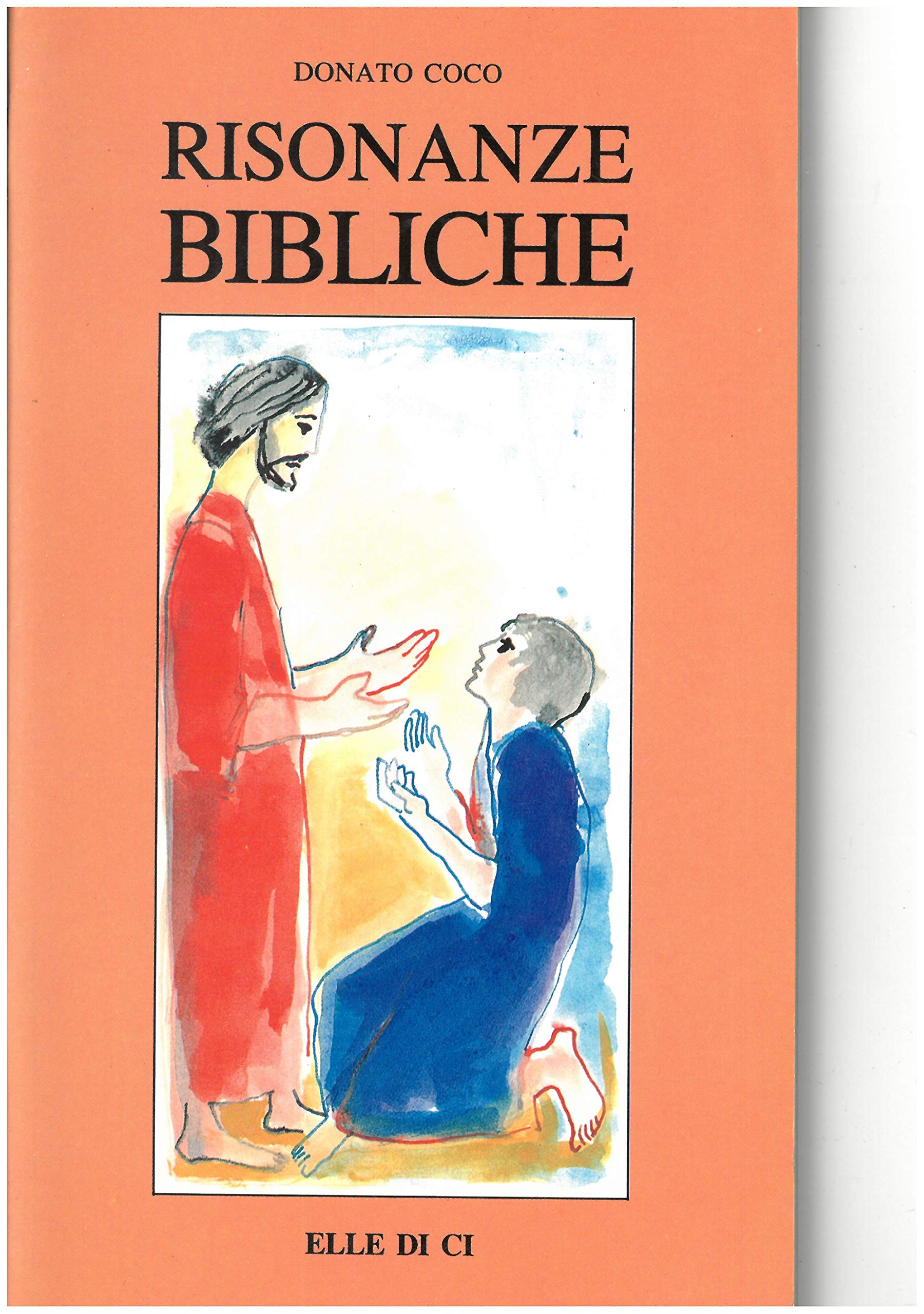 Risonanze bibliche book