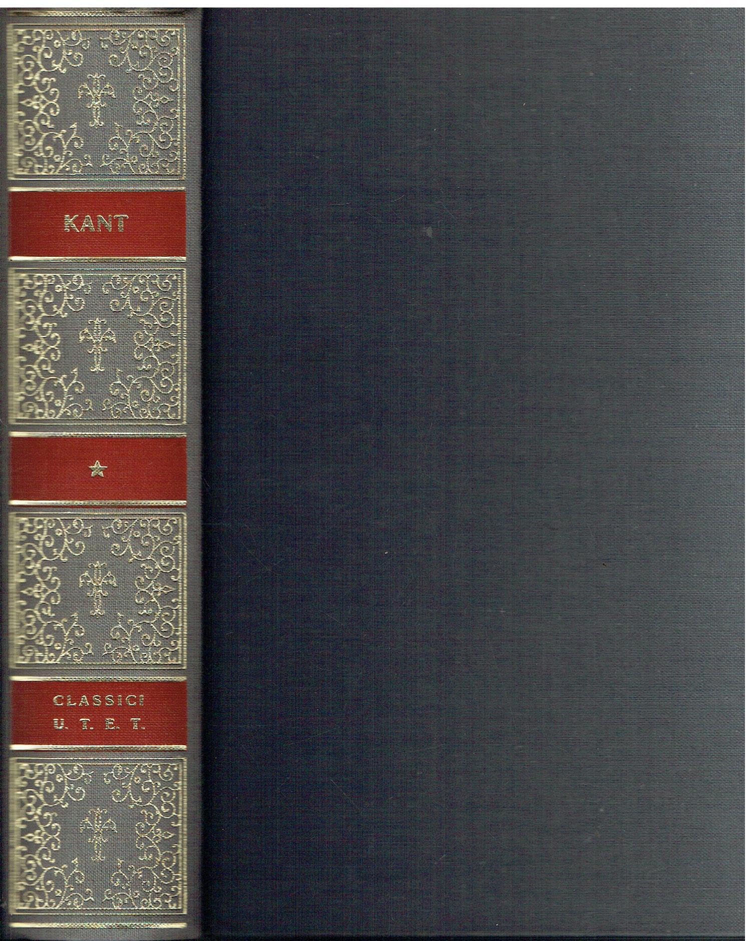 Opere. Critica della ragion pura (Vol. 1) book
