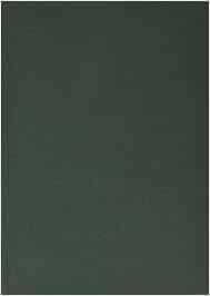 Grande dizionario della lingua italiana (Vol. 15) Foreign Languages ​​& Dictionaries