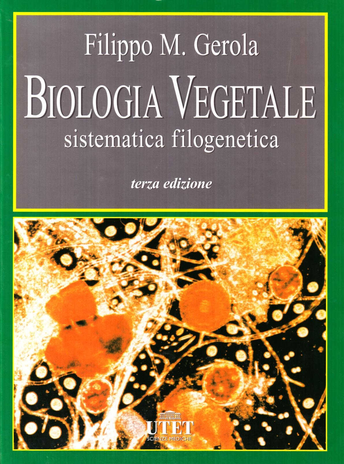 Biologia vegetale. Sistematica filogenetica (Vol. 2) book