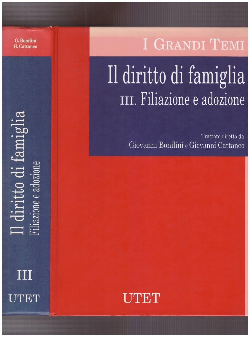 Il diritto di famiglia. Filiazione e adozione (Vol. 3) (I grandi temi) Law