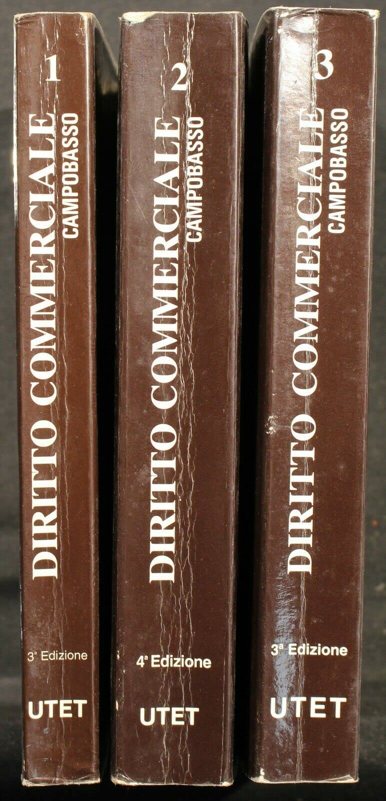 Diritto commerciale. Diritto dell'impresa (Vol. 1) (Il sistema giuridico italiano) Law