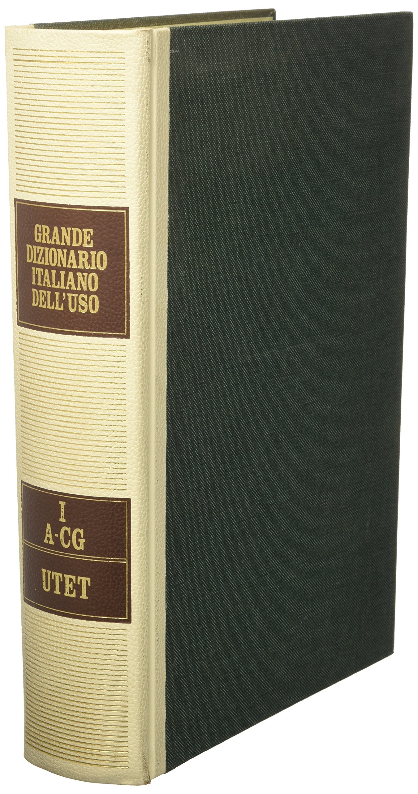 Grande dizionario italiano dell'uso. Con CD-ROM. A-CG (Vol. 1) book