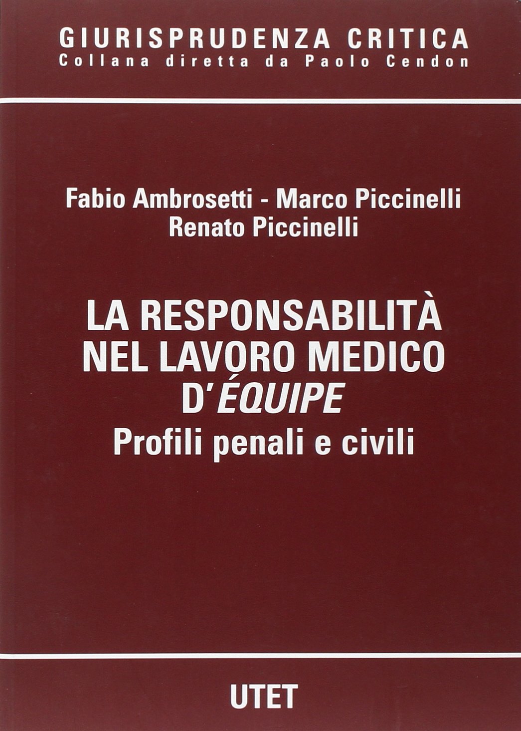 La responsabilità nel lavoro medico d'équipe. Profili penali e civili book