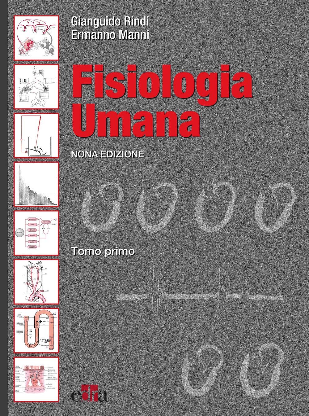 Fisiologia umana Medicine