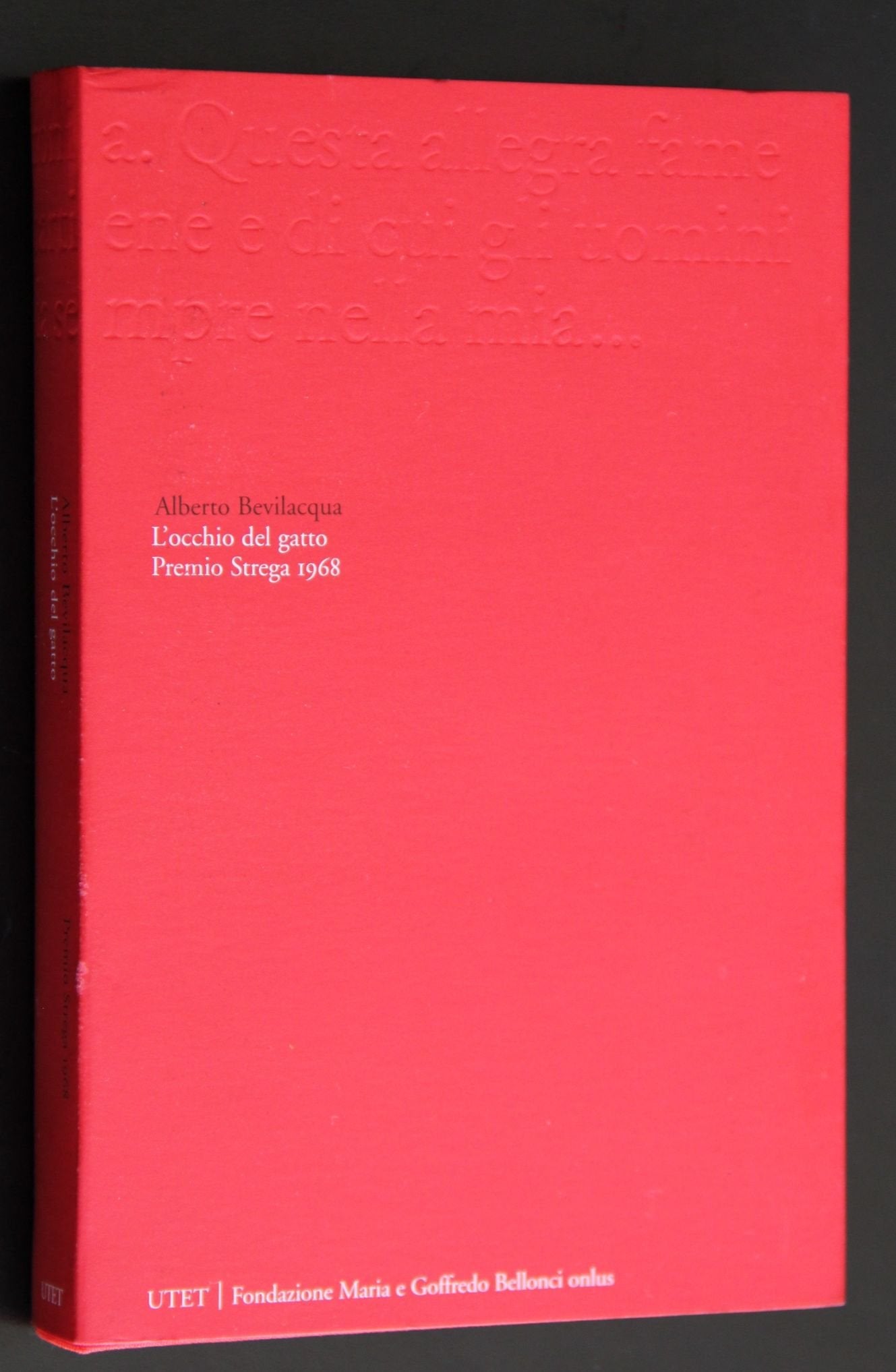 L'occhio del gatto. book