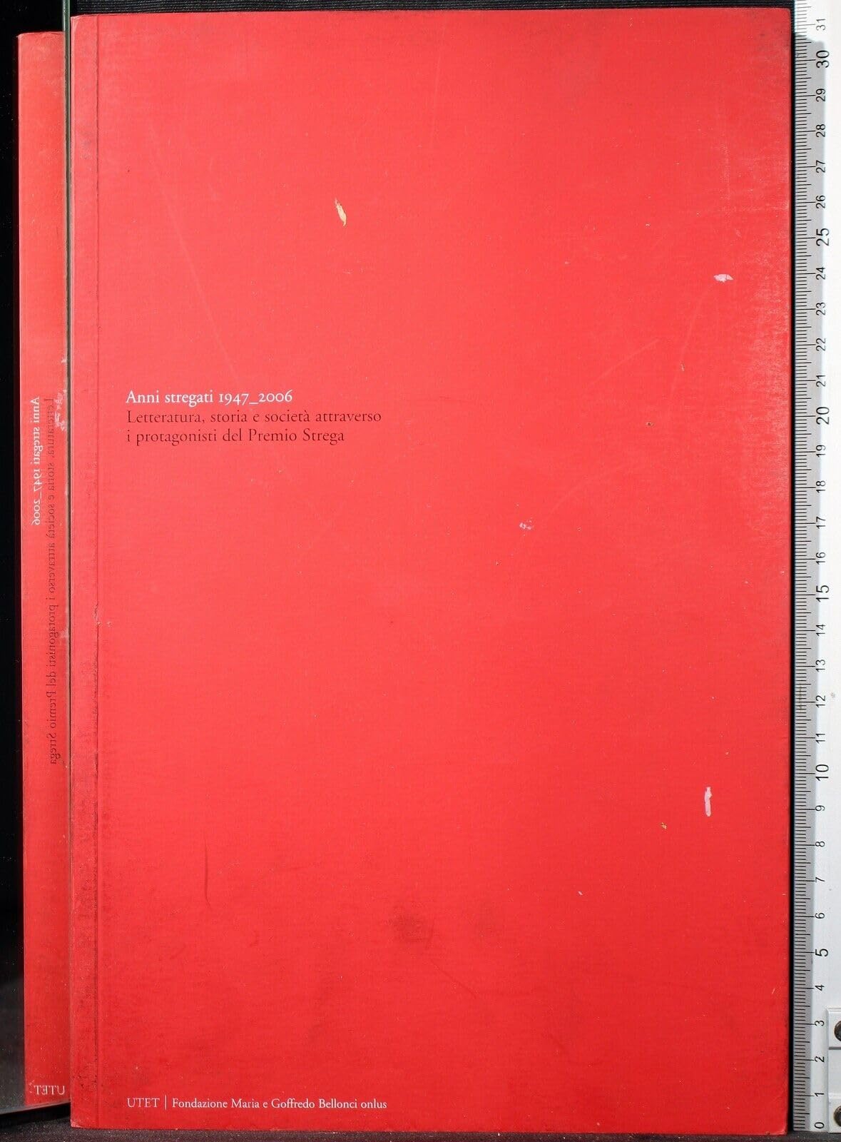 Anni stregati 1947-2006. Letteratura, storia e società attraverso i protagonisti del Premio Strega. Books