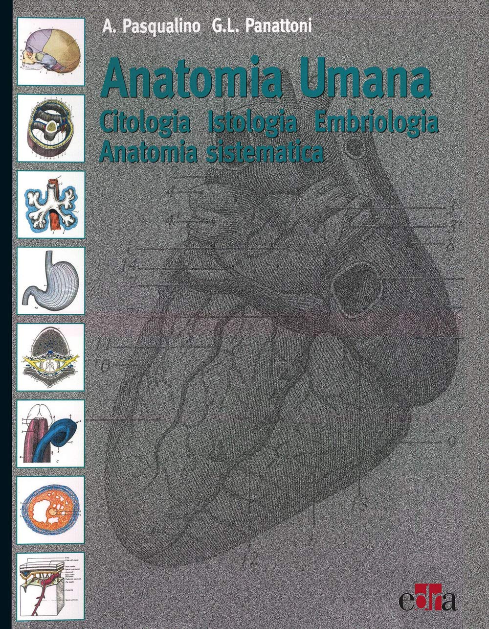 Anatomia umana. Citologia, istologia, embriologia, anatomia sistematica book