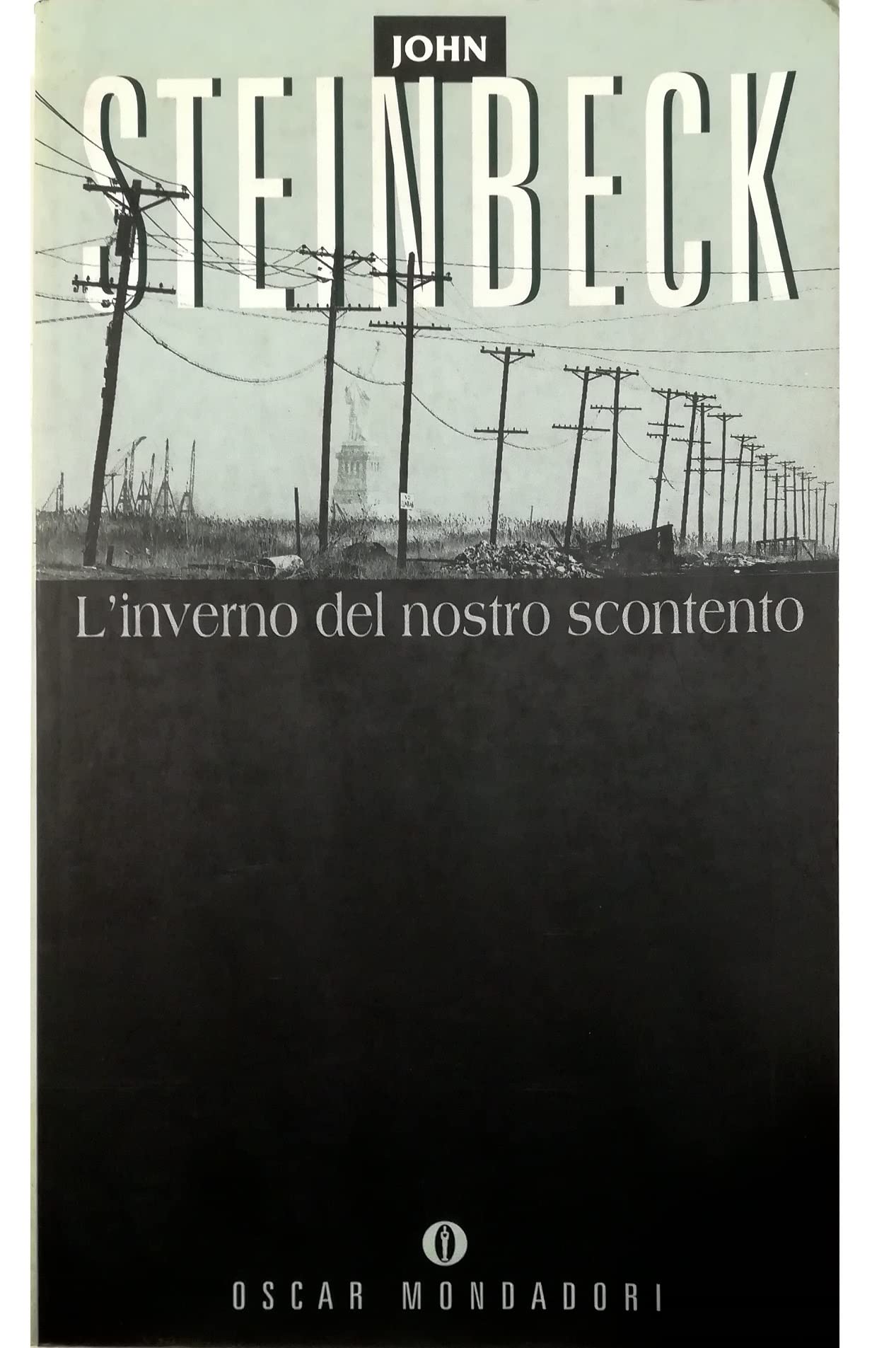 L'inverno del nostro scontento book