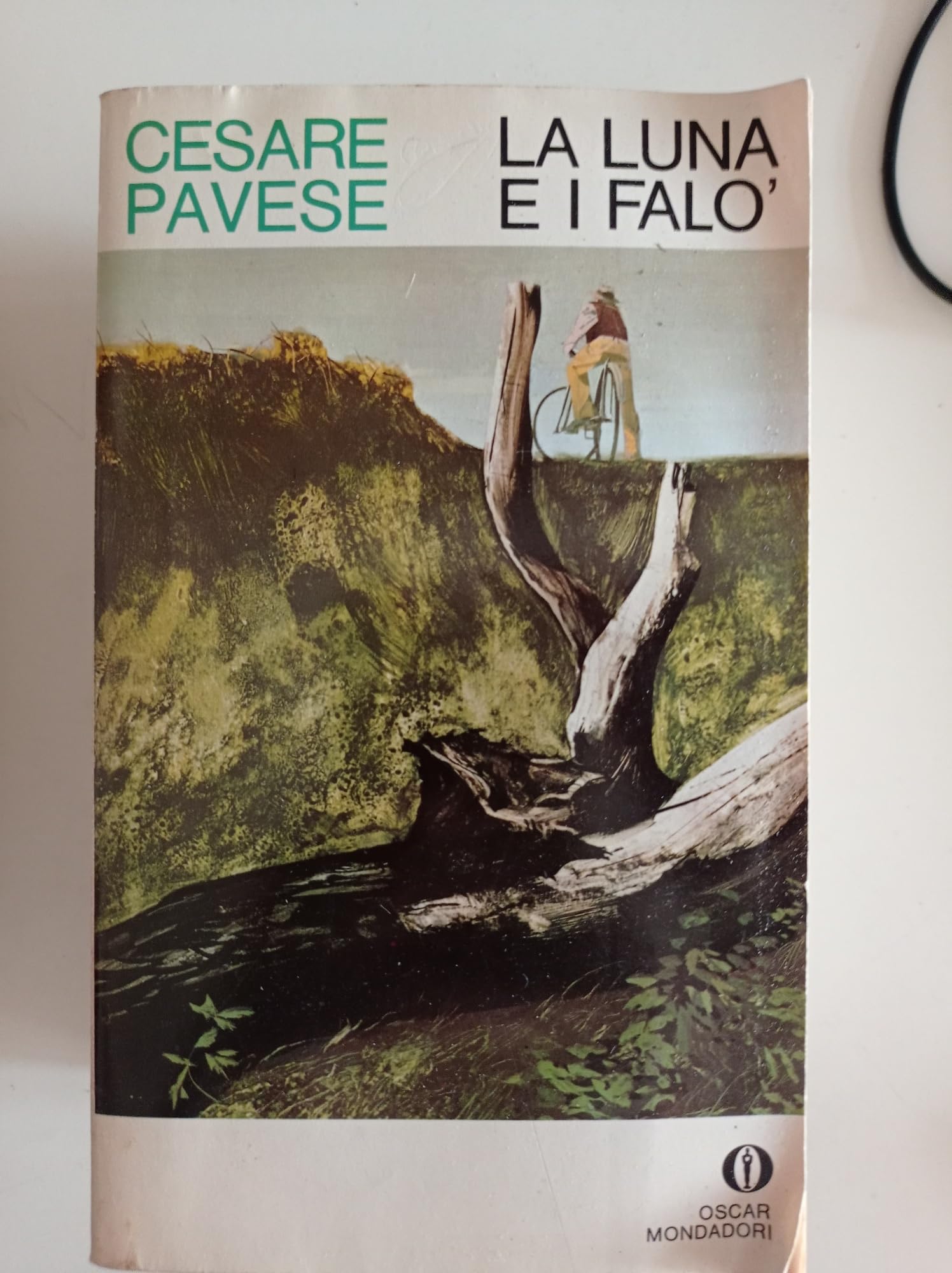 La luna e i falò Books