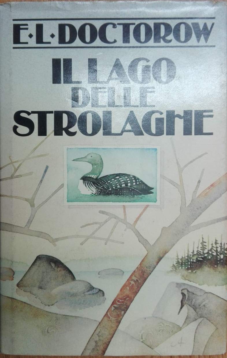 Il lago delle Strolaghe book