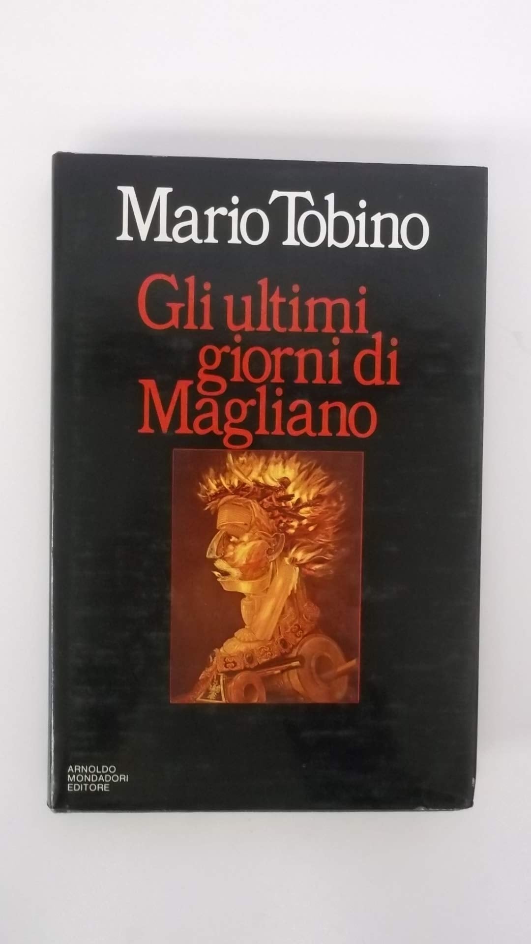 Gli ultimi giorni di Magliano book