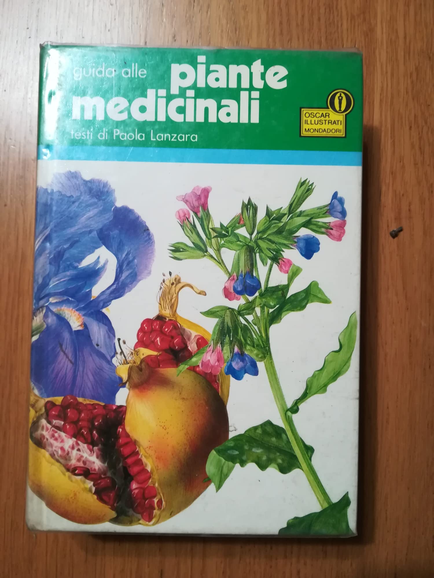 Guida alle piante medicinali book