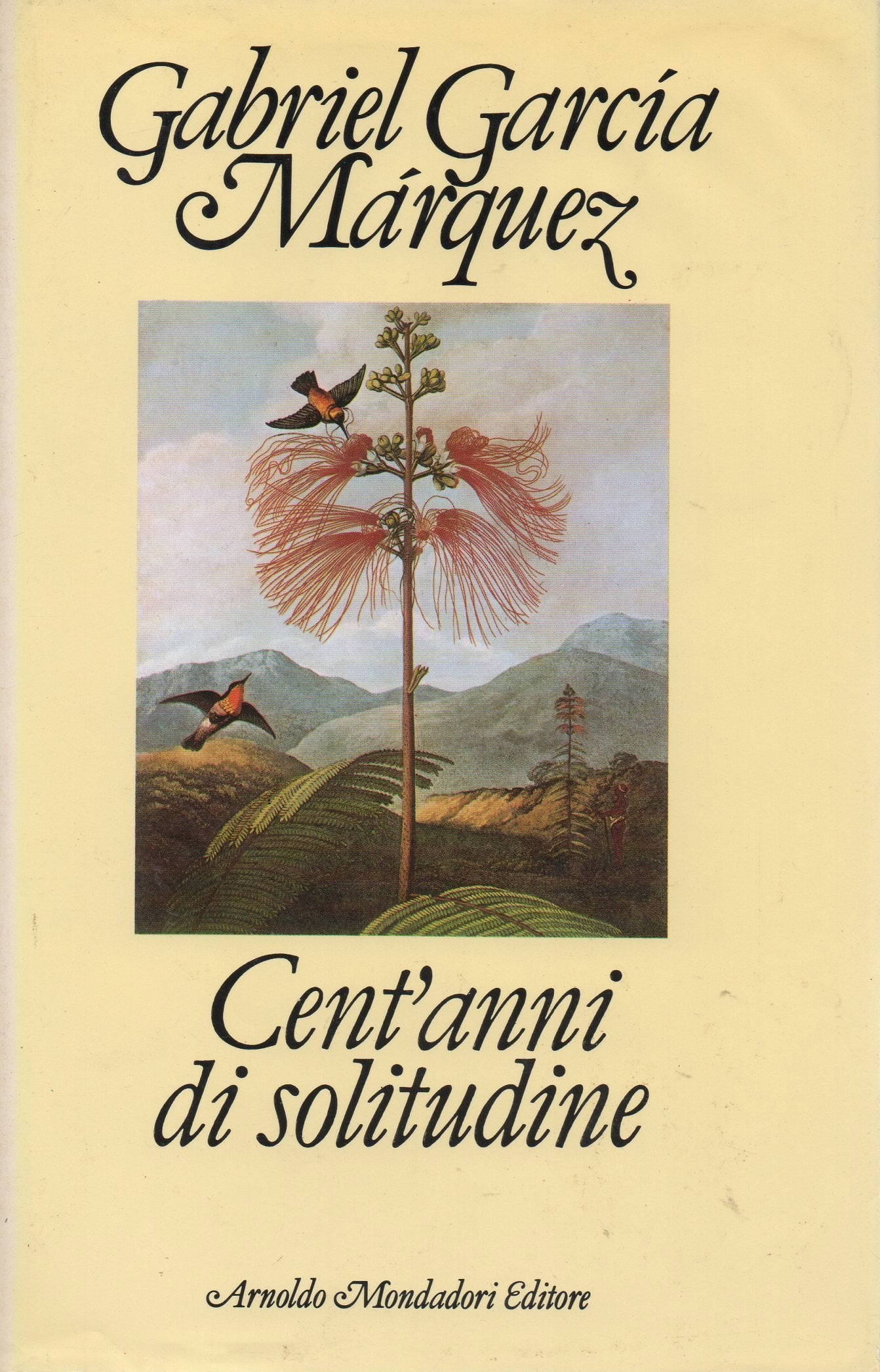 Cent'anni di solitudine book