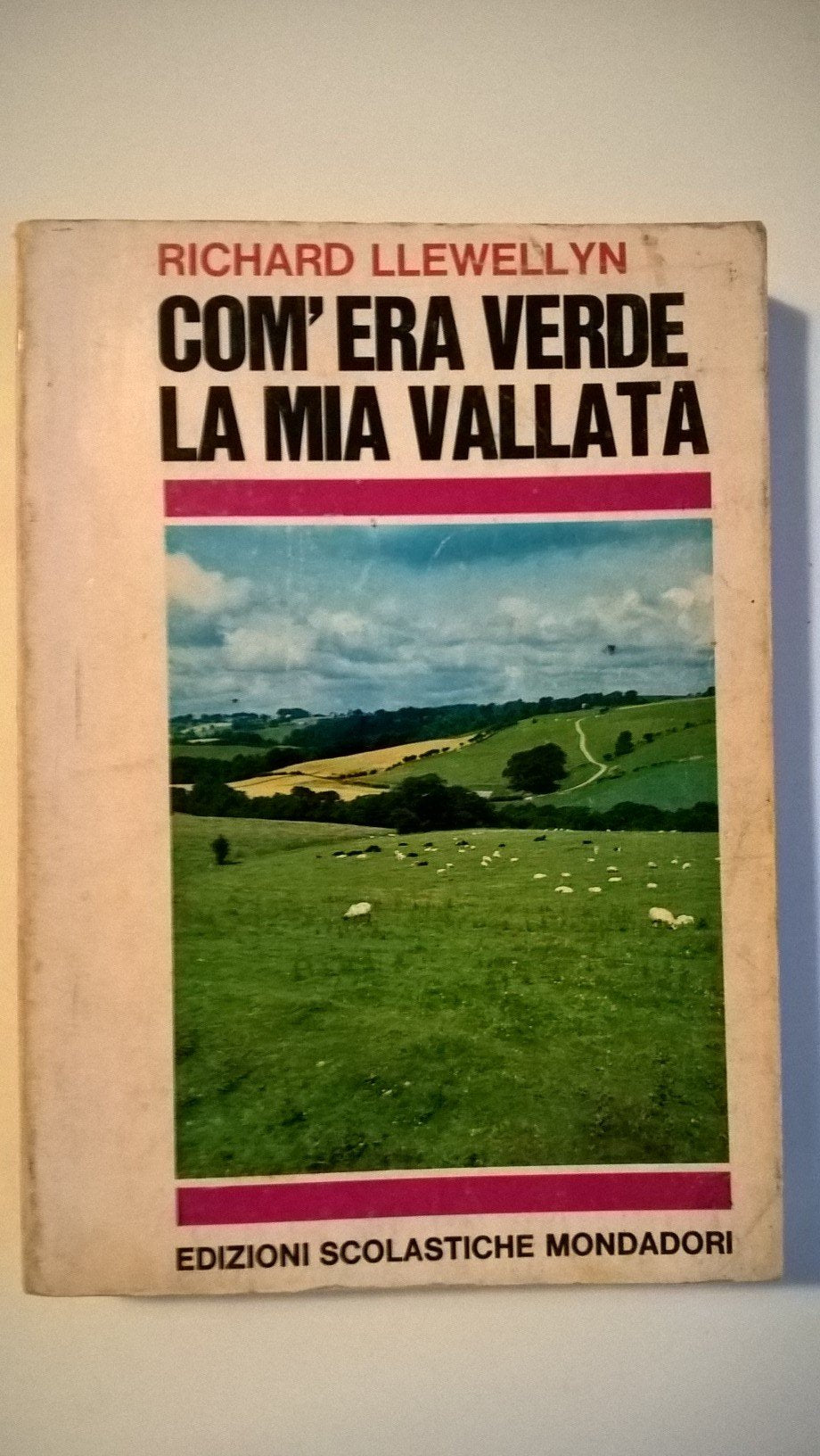 Com'era verde la mia vallata (Letture per la scuola media) Professional & Reference Books