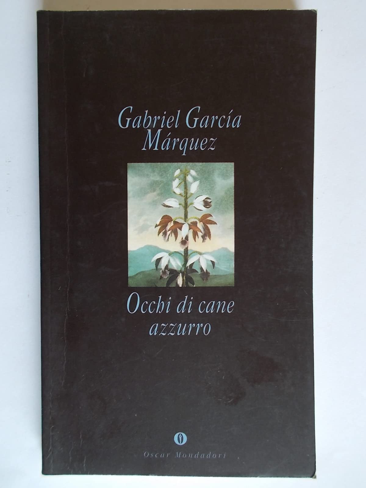 Occhi di un cane azzurro-Racconto di un naufrago (Oscar narrativa, Band 623) Contemporary literature