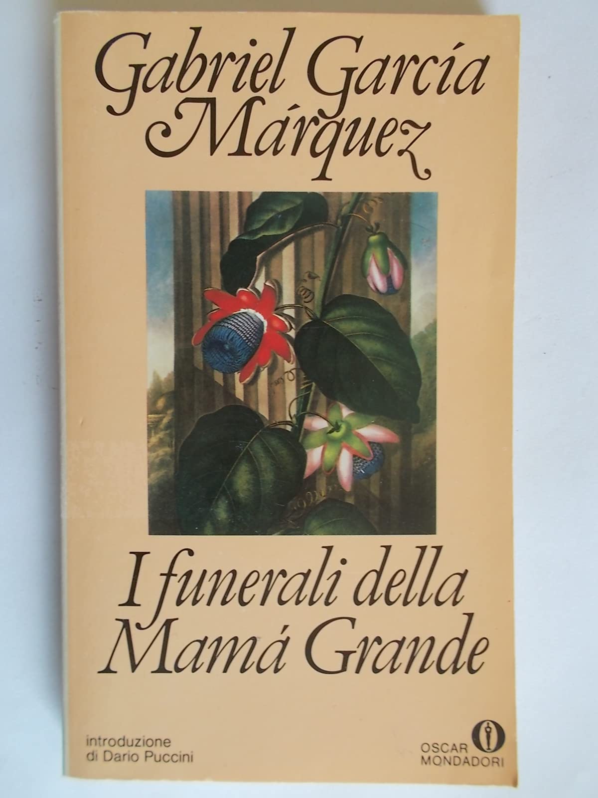 I funerali della Mama Grande (Oscar narrativa, Band 671) Contemporary literature