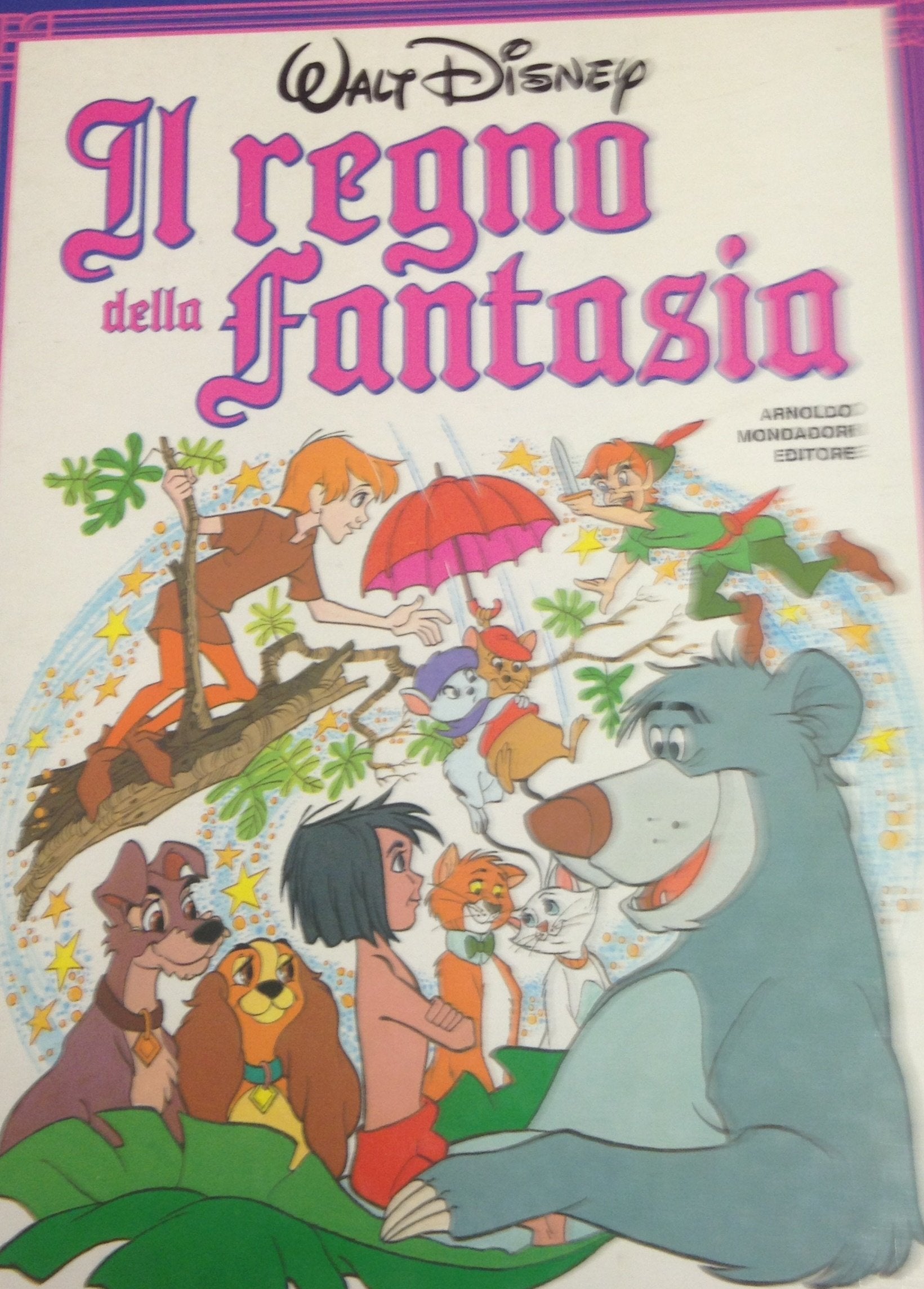Il regno della fantasia book