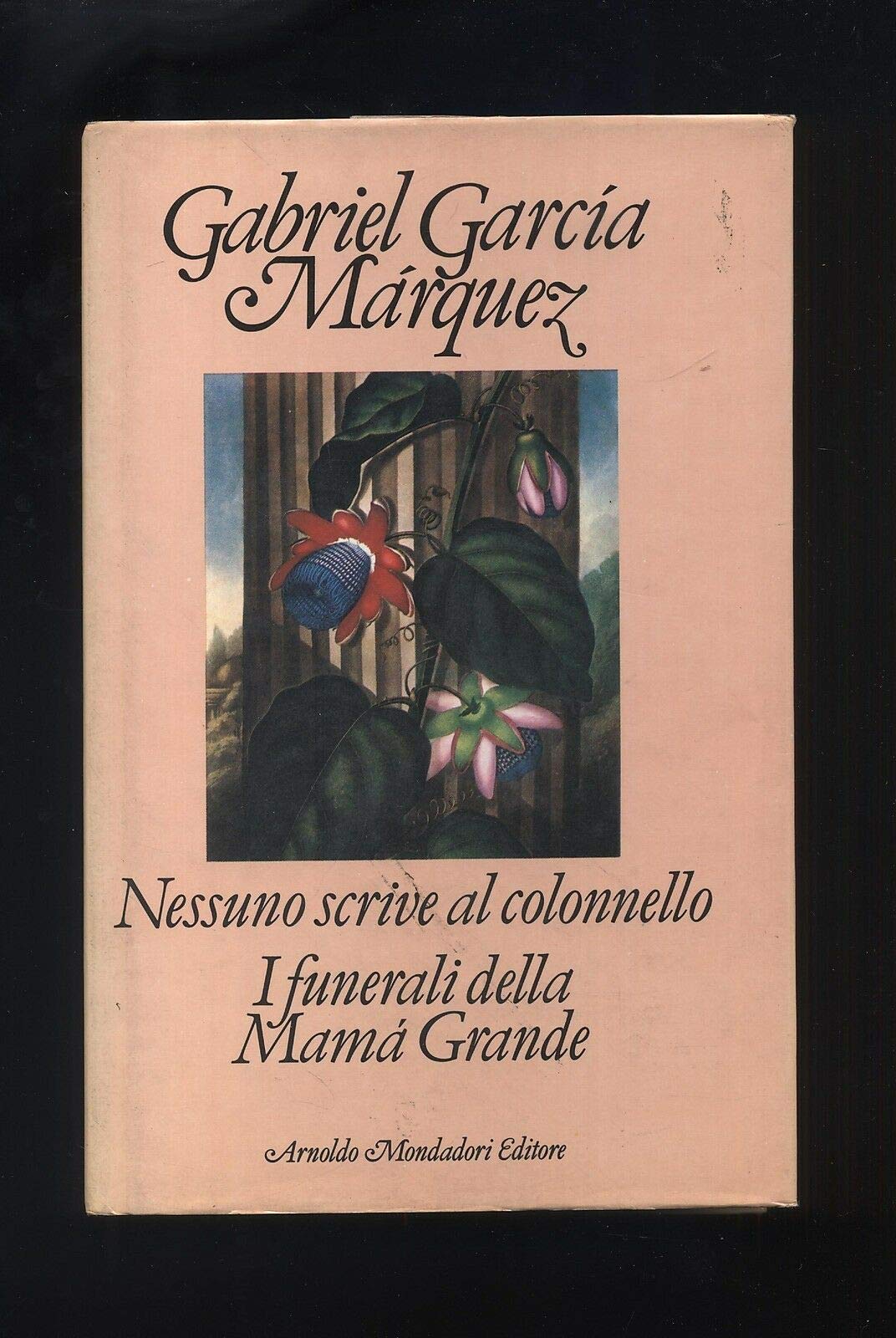 Nessuno scrive al colonnello-I funerali della Mama Grande book
